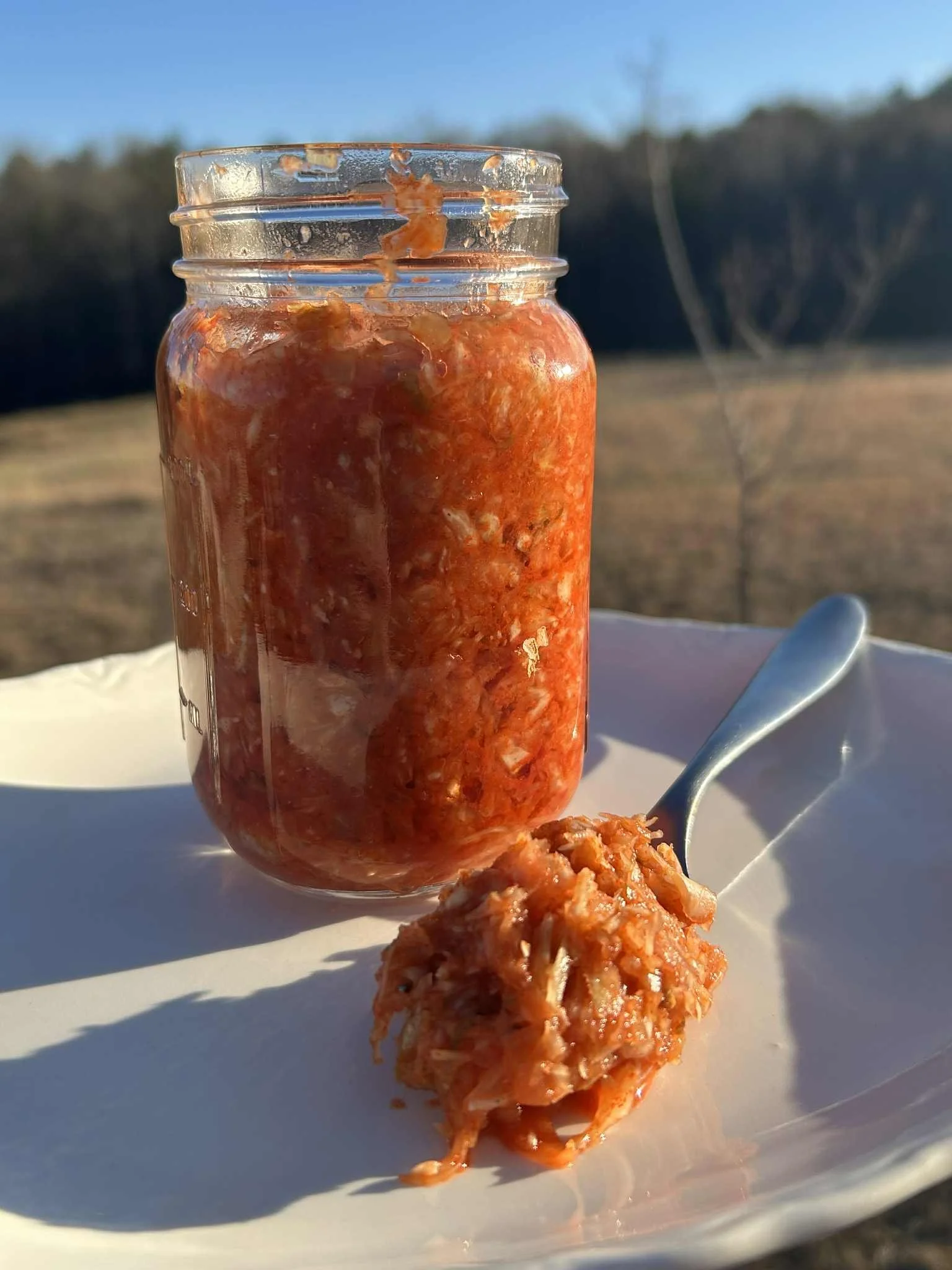 Organic Homemade Kimchi