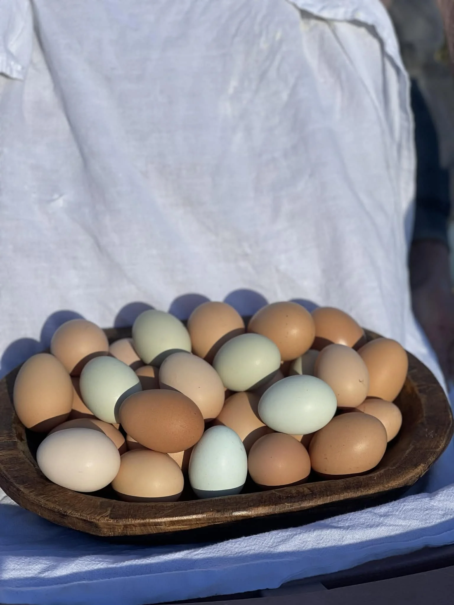 Organic Chicken Eggs