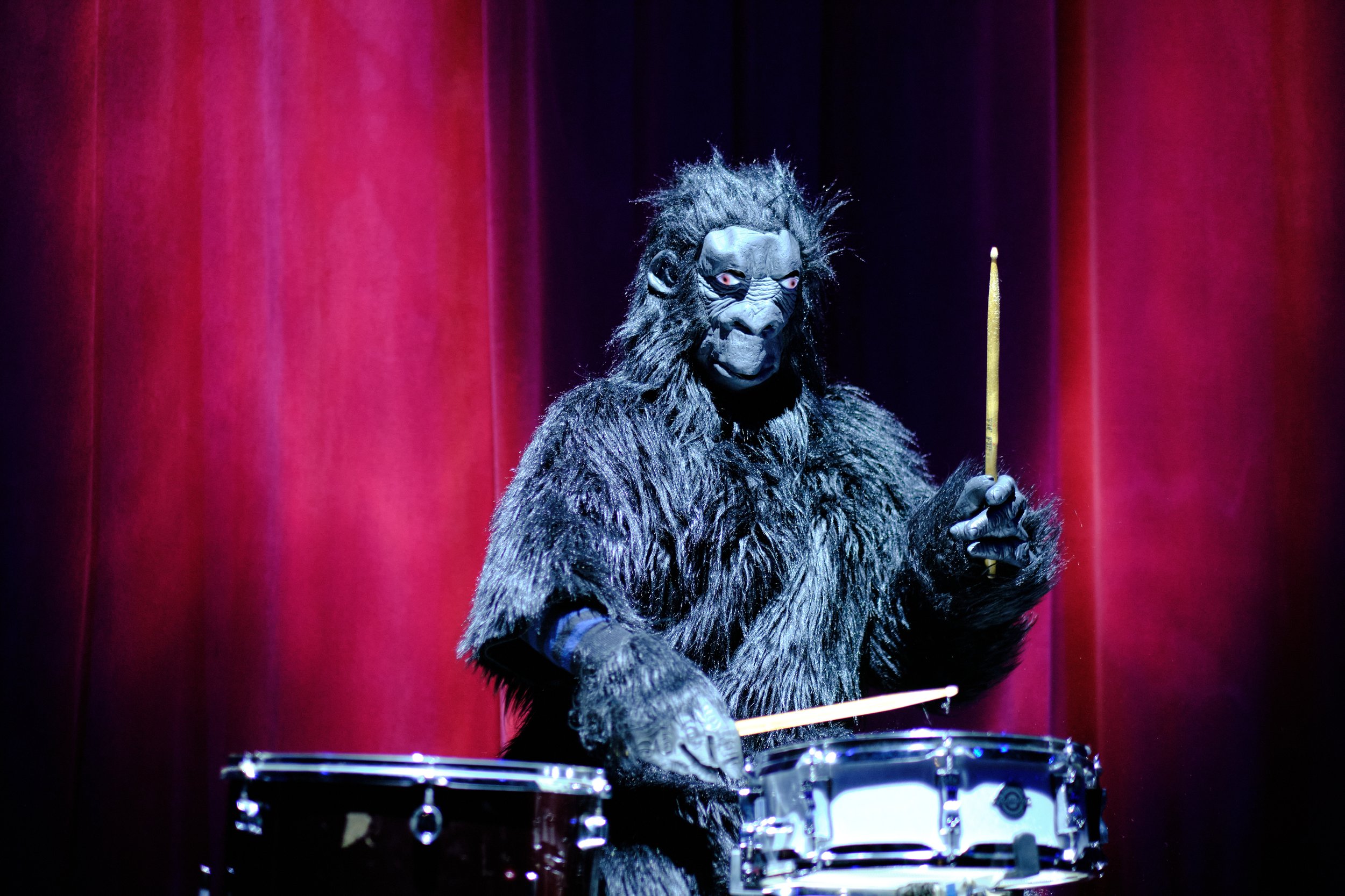 Taunton Brewhouse - PInocchio 021224 107.jpg