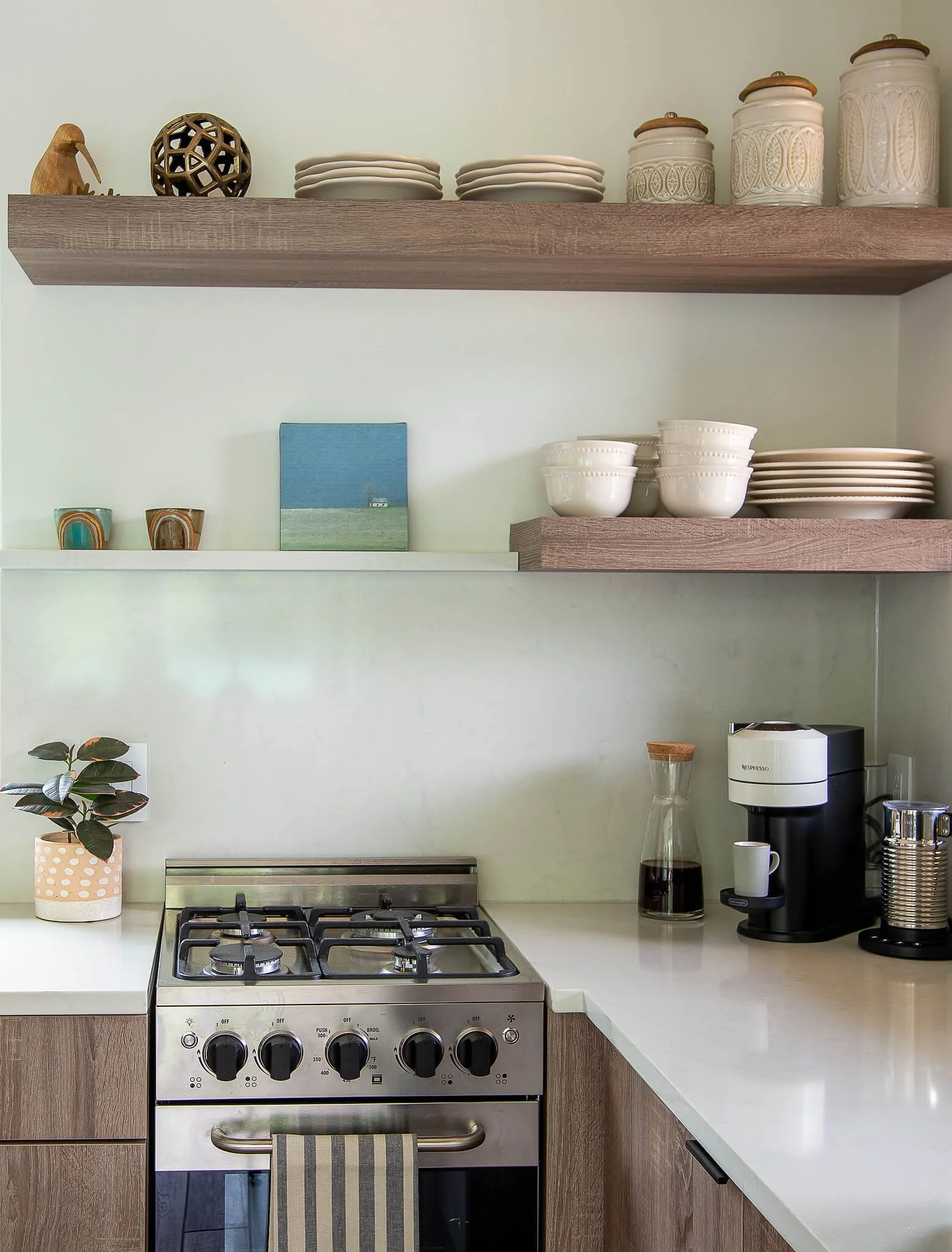 Kitchen countertop with a gas stove, potted plant, coffee maker, glass coffee decanter, and various decorative and dishware items on shelves.
