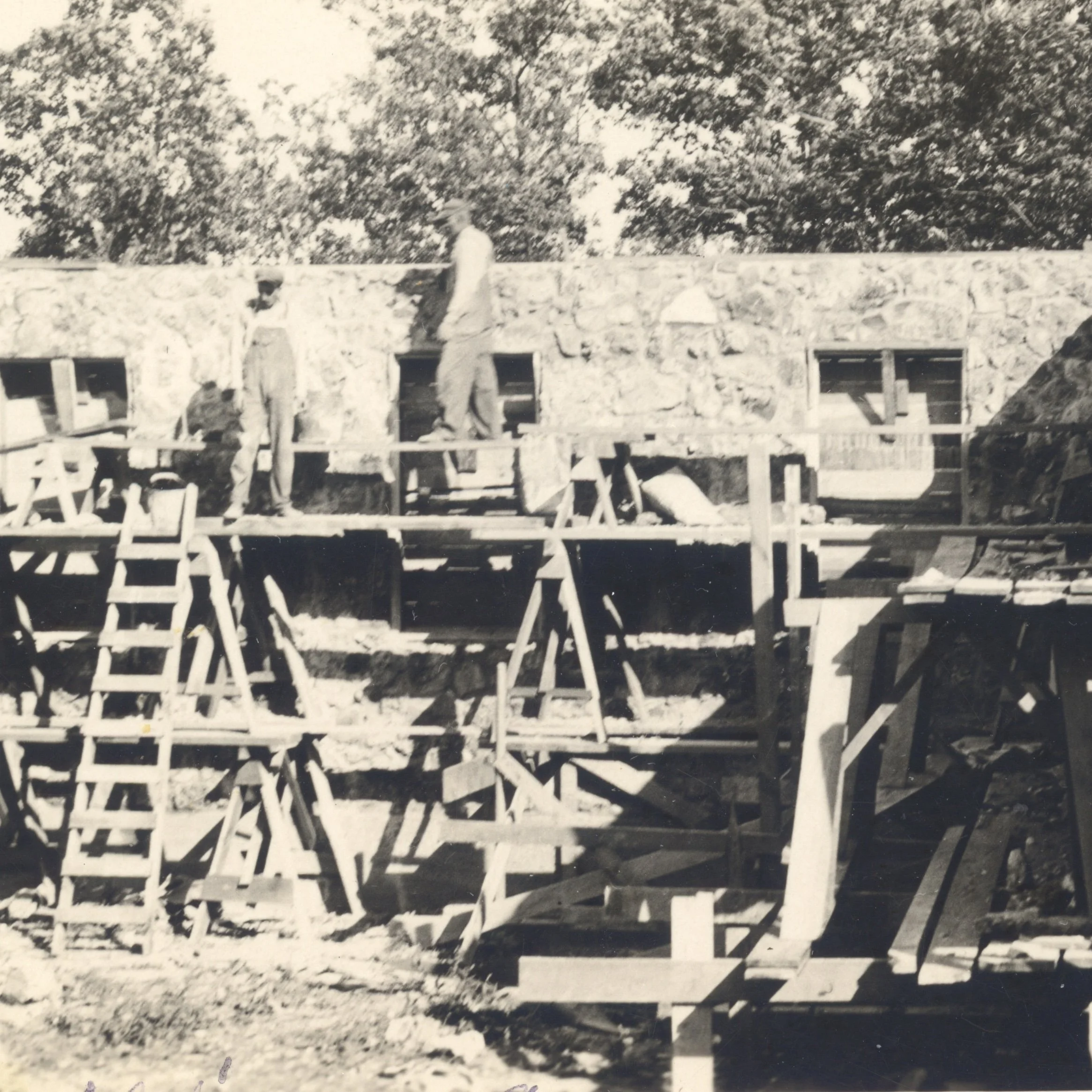 How Brotherhood Economics Regenerates an Ozark Forest | Shannondale Community | Shannon County, Missouri