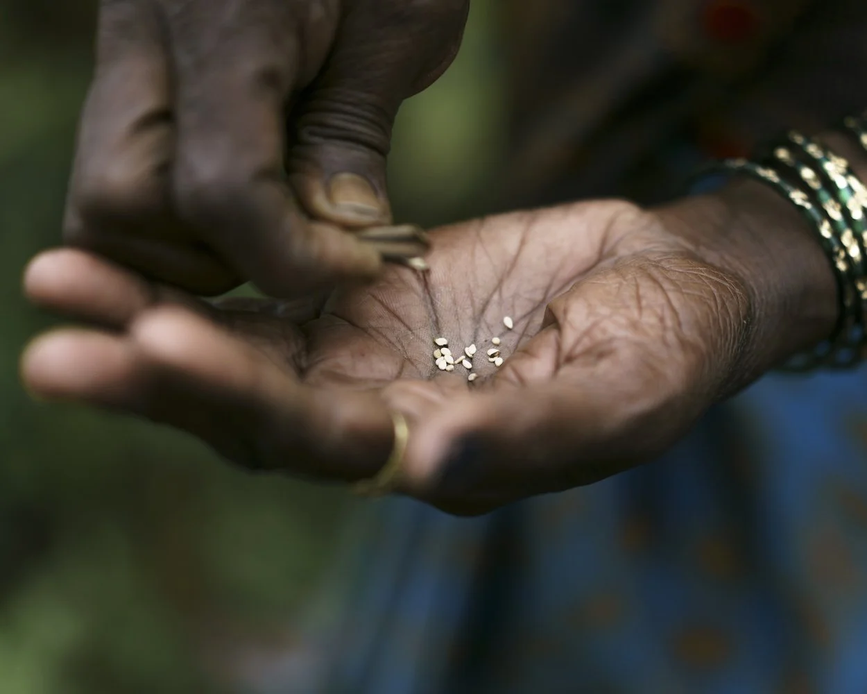 Woman counting seeds in her hands.
