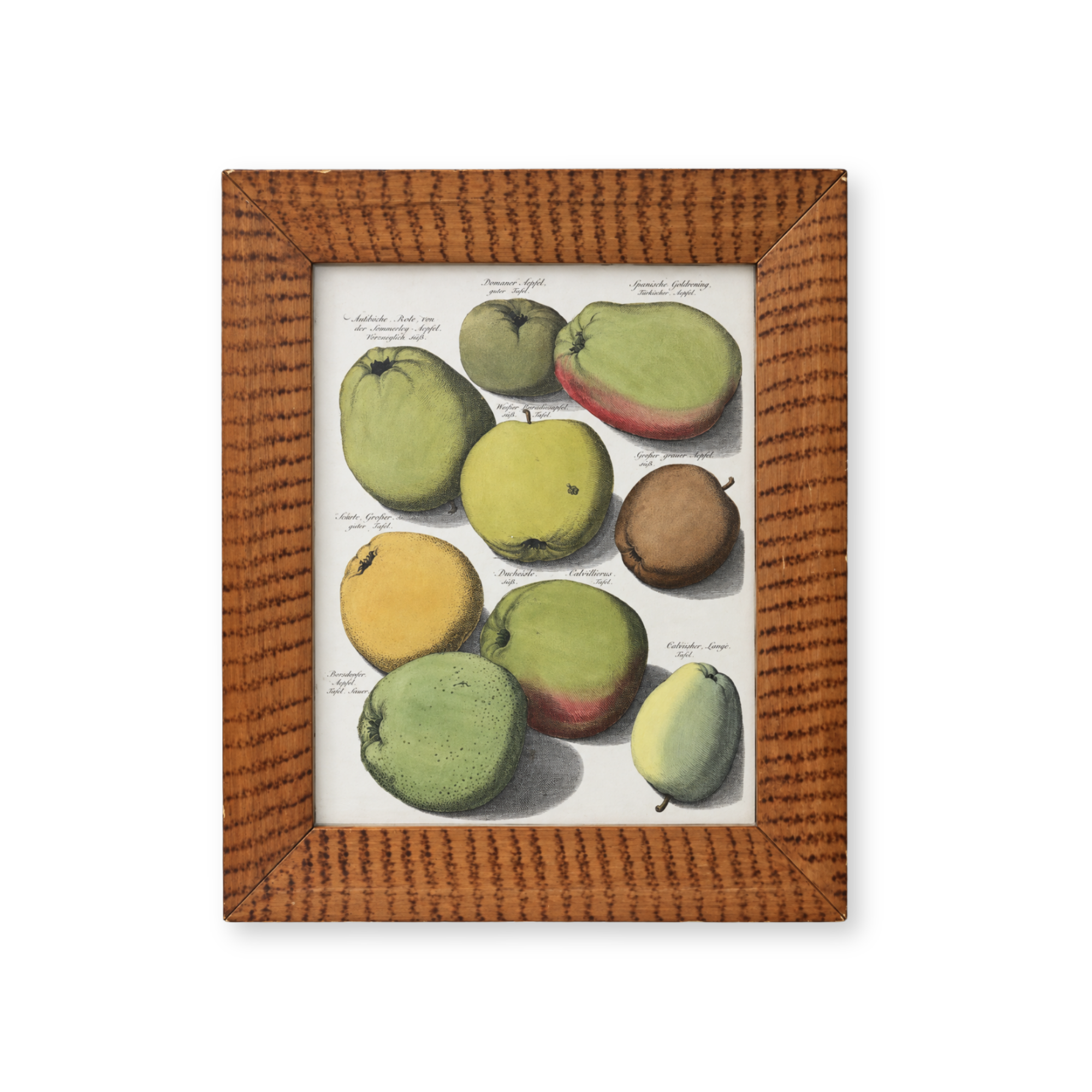 Framed Fruit Lithograph