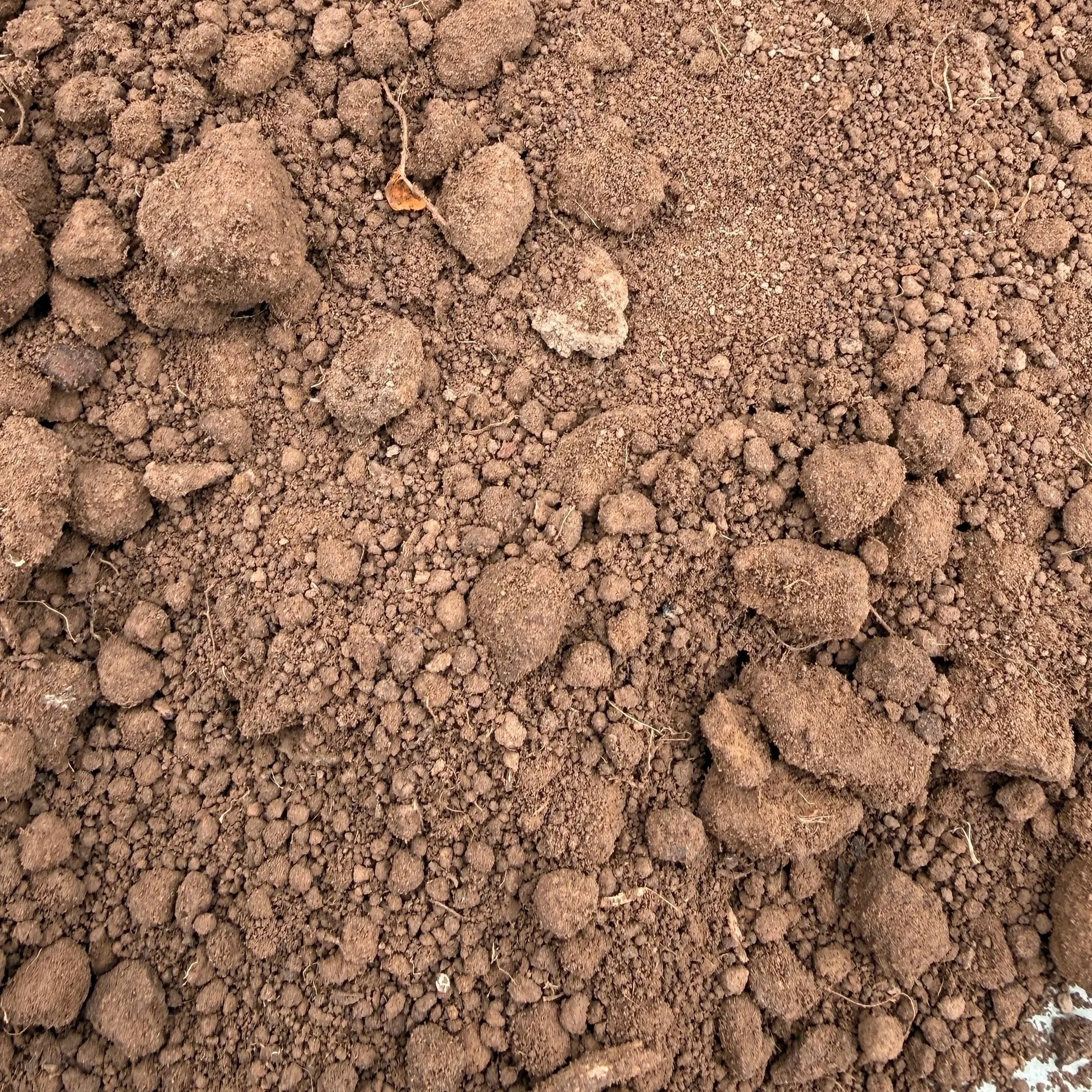 TOPSOIL