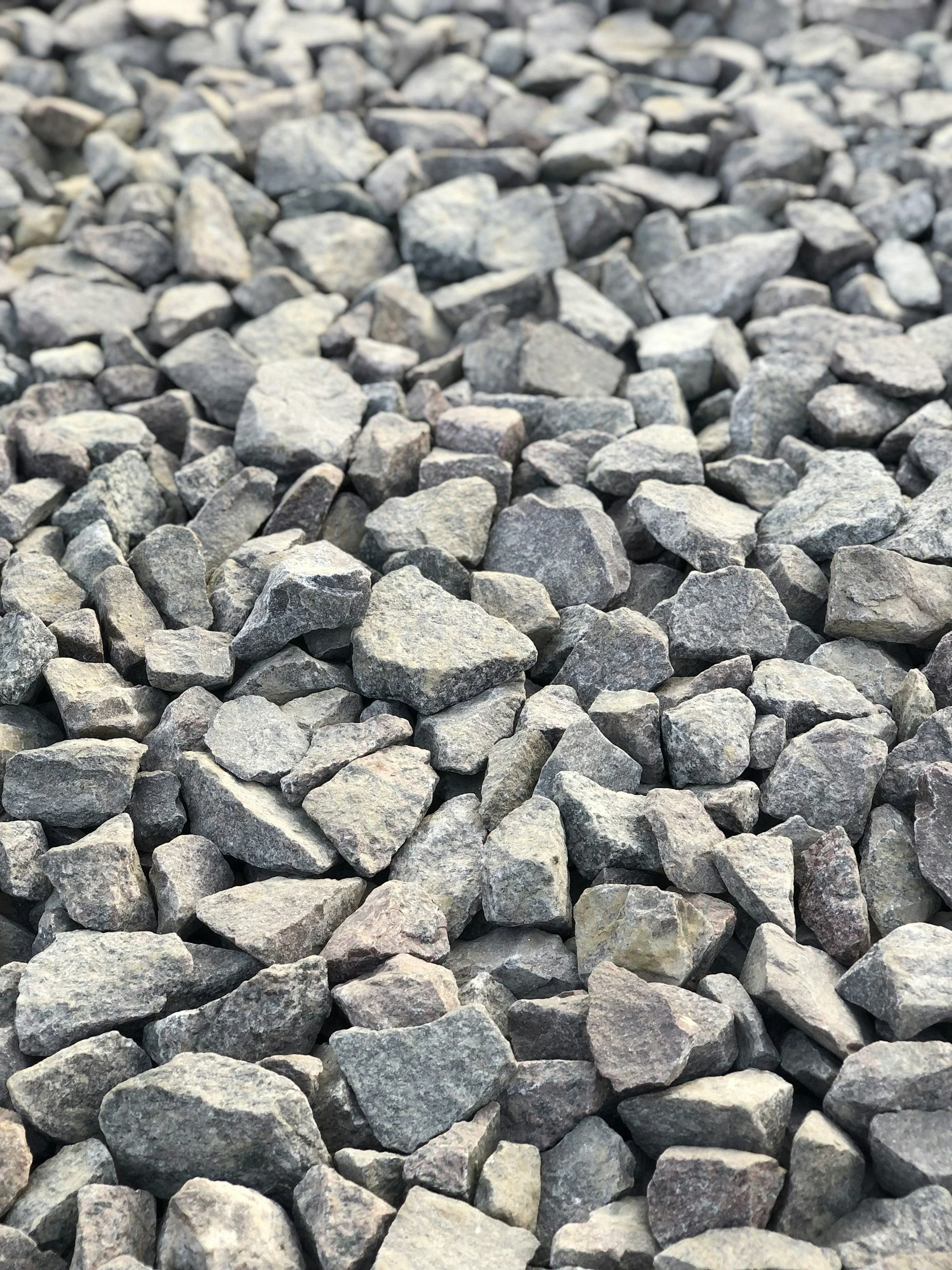 Close-up of gray and black small rocks scattered on the ground.