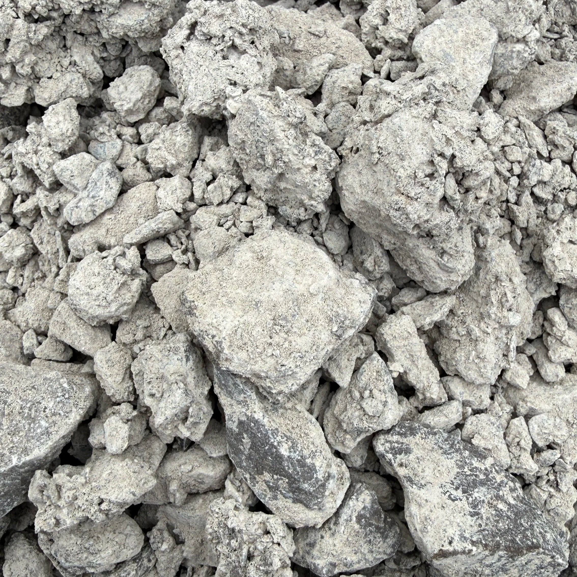 IMG_4585.png