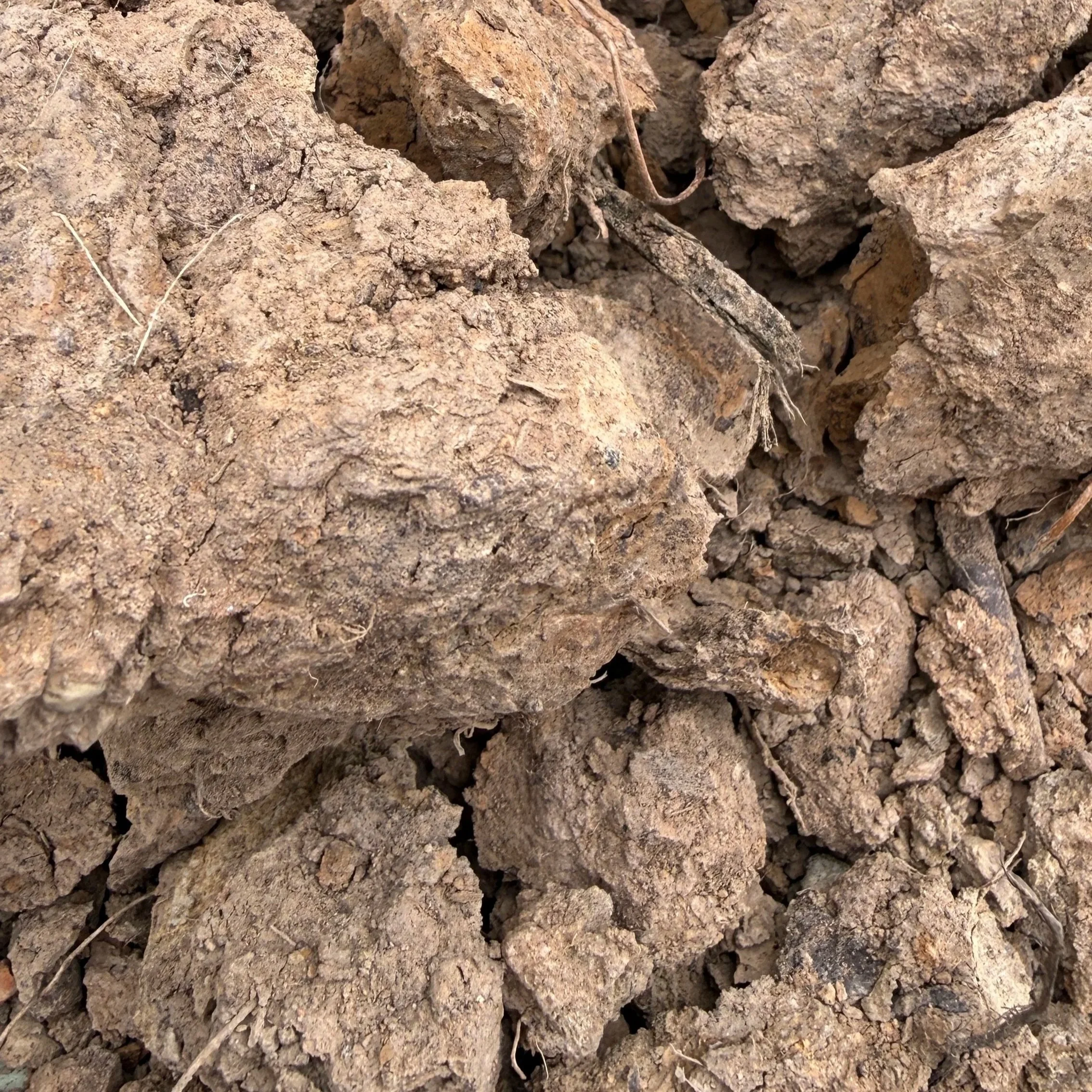 FILL DIRT