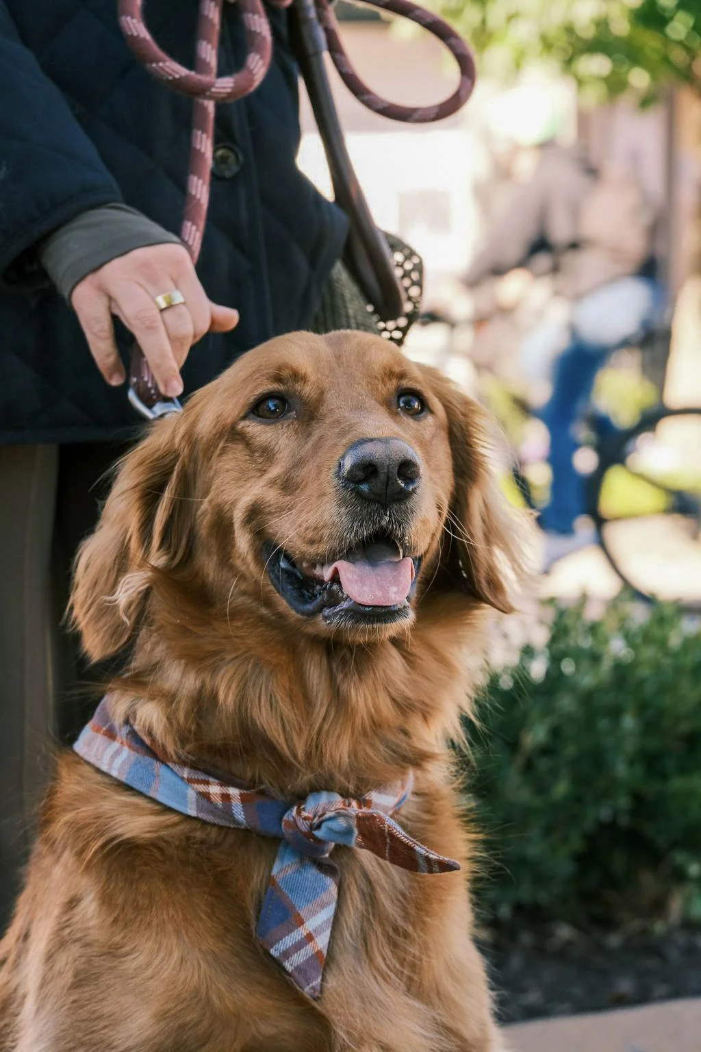 The "Best Friend" Session