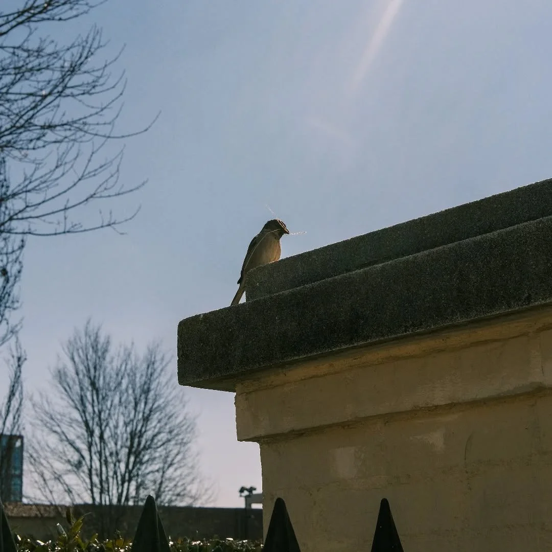 It's the season of rebuilding.