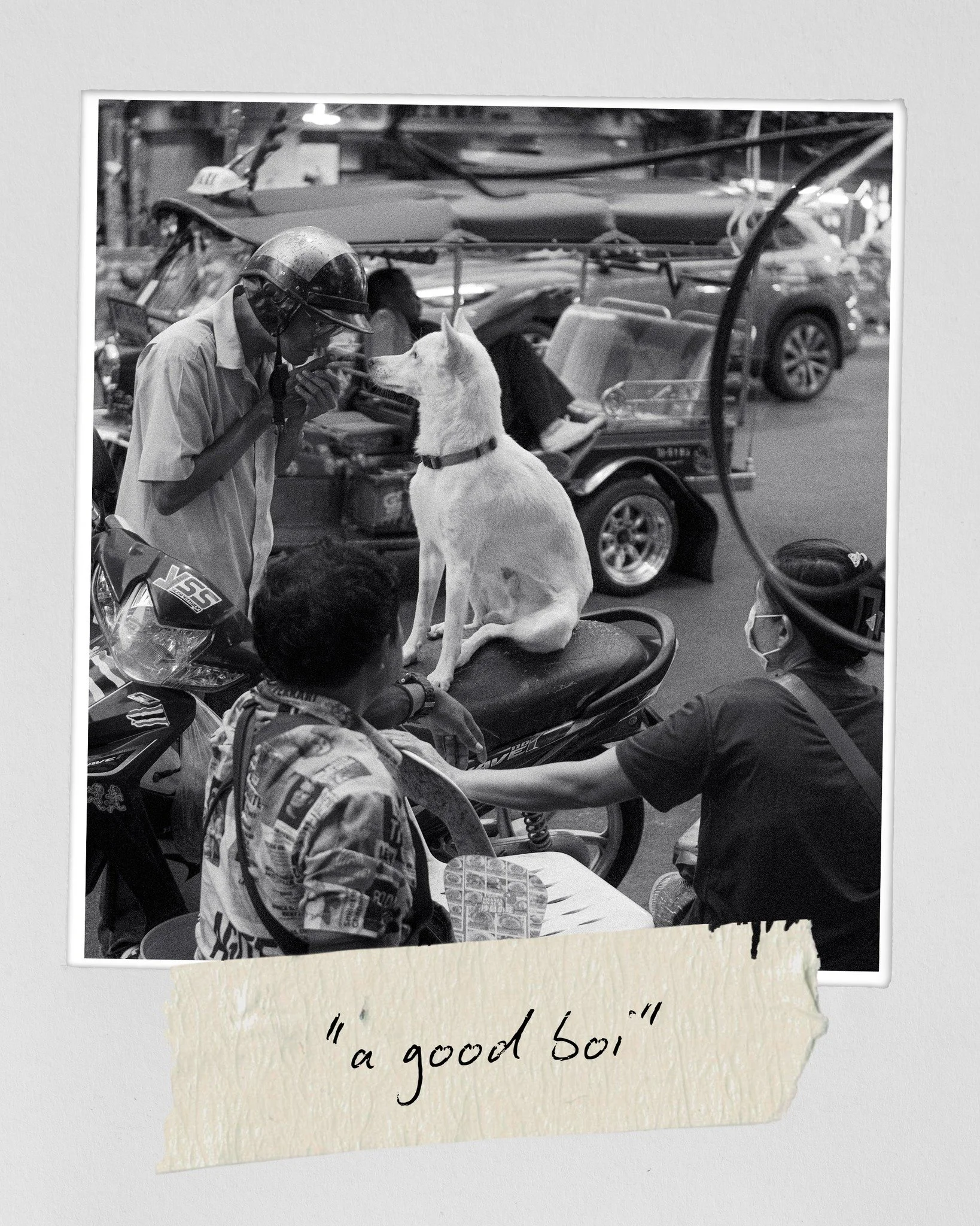 Not to say that we don't have love for our furry friends here in the States, but there's a certain level of companionship that I noticed walking through the streets of Bangkok.
A connectedness that I only rarely see when catching local pet owners thr