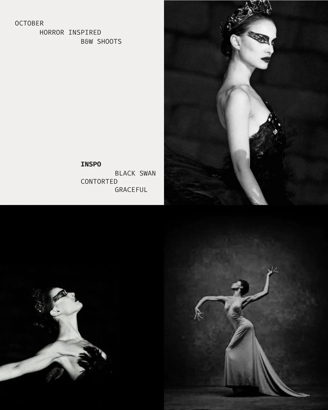Perfection has a price.

Contorted and graceful, this theme blended ballet and horror, inspired by Black Swan. Feathers, tulle, and shadows that tell the story for you.

October is full, but I'm booking sessions through the end of the year. Have a st