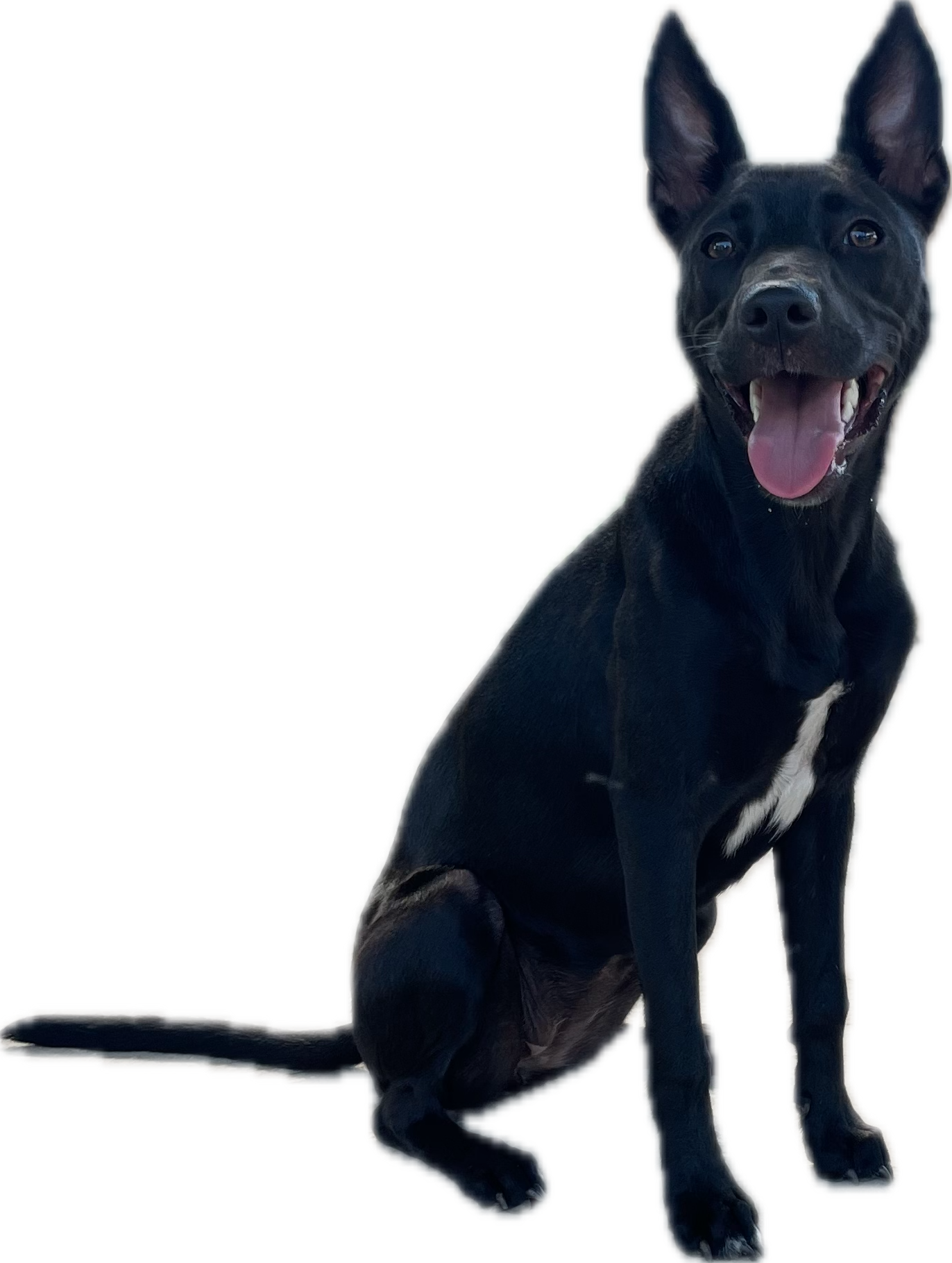 Geometric drawing of an outline square with sections divided by vertical, horizontal, and half circle lines.