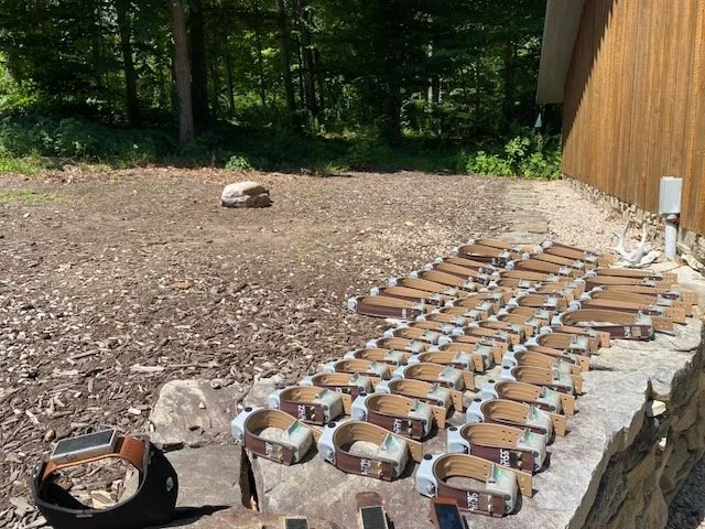 A row of GPS deer collars laid out on a stone surface outside.