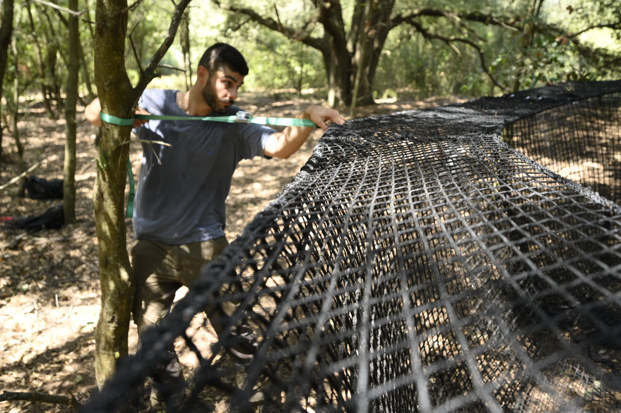 Pig Brig Trap Tree Set