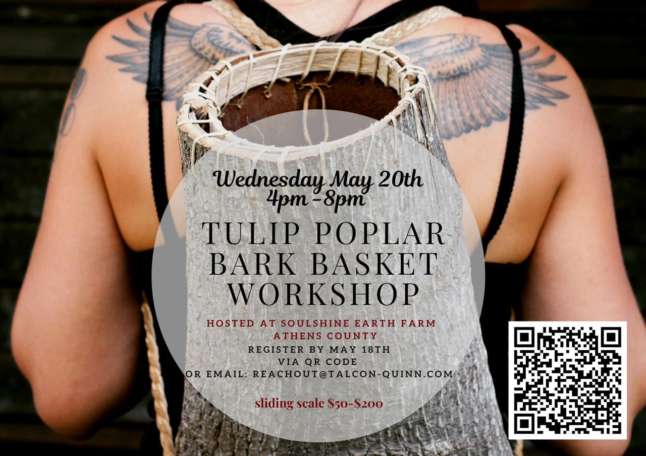 Tulip Poplar Bark Basket Workshop