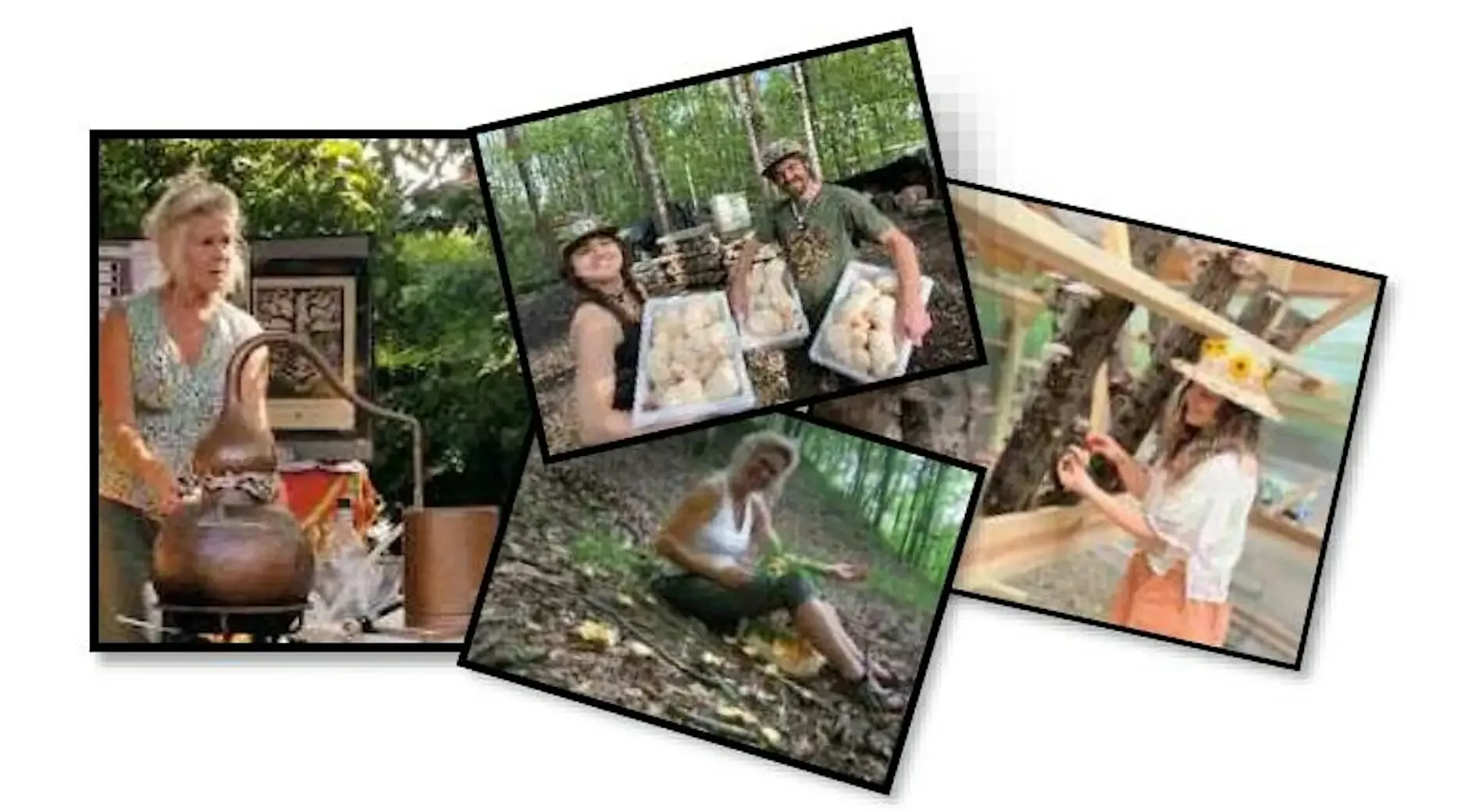 Fungi Fusion Forest Day