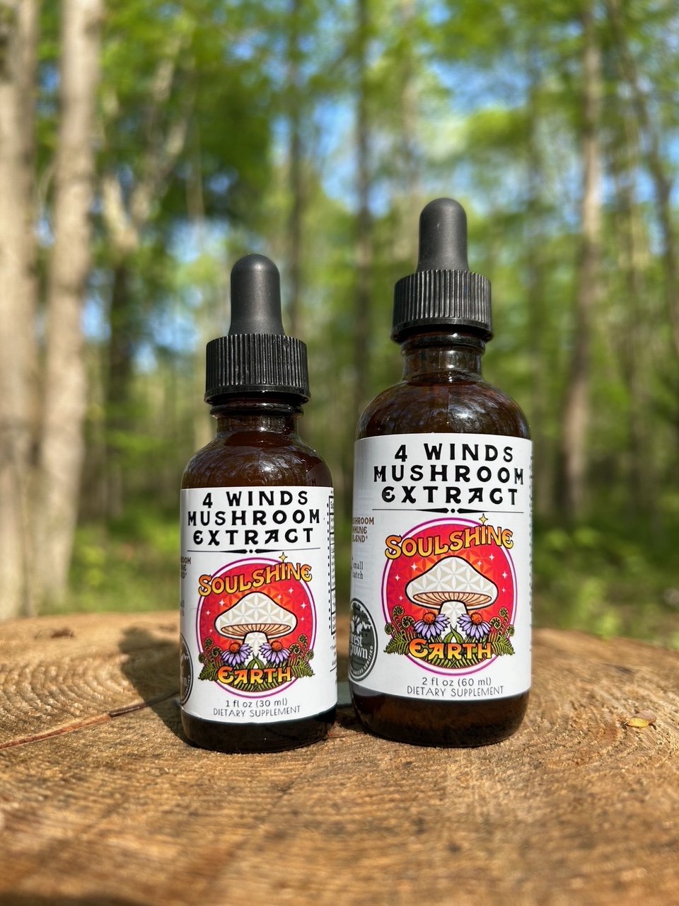 Four Winds Extract - 4 Mushroom Blend