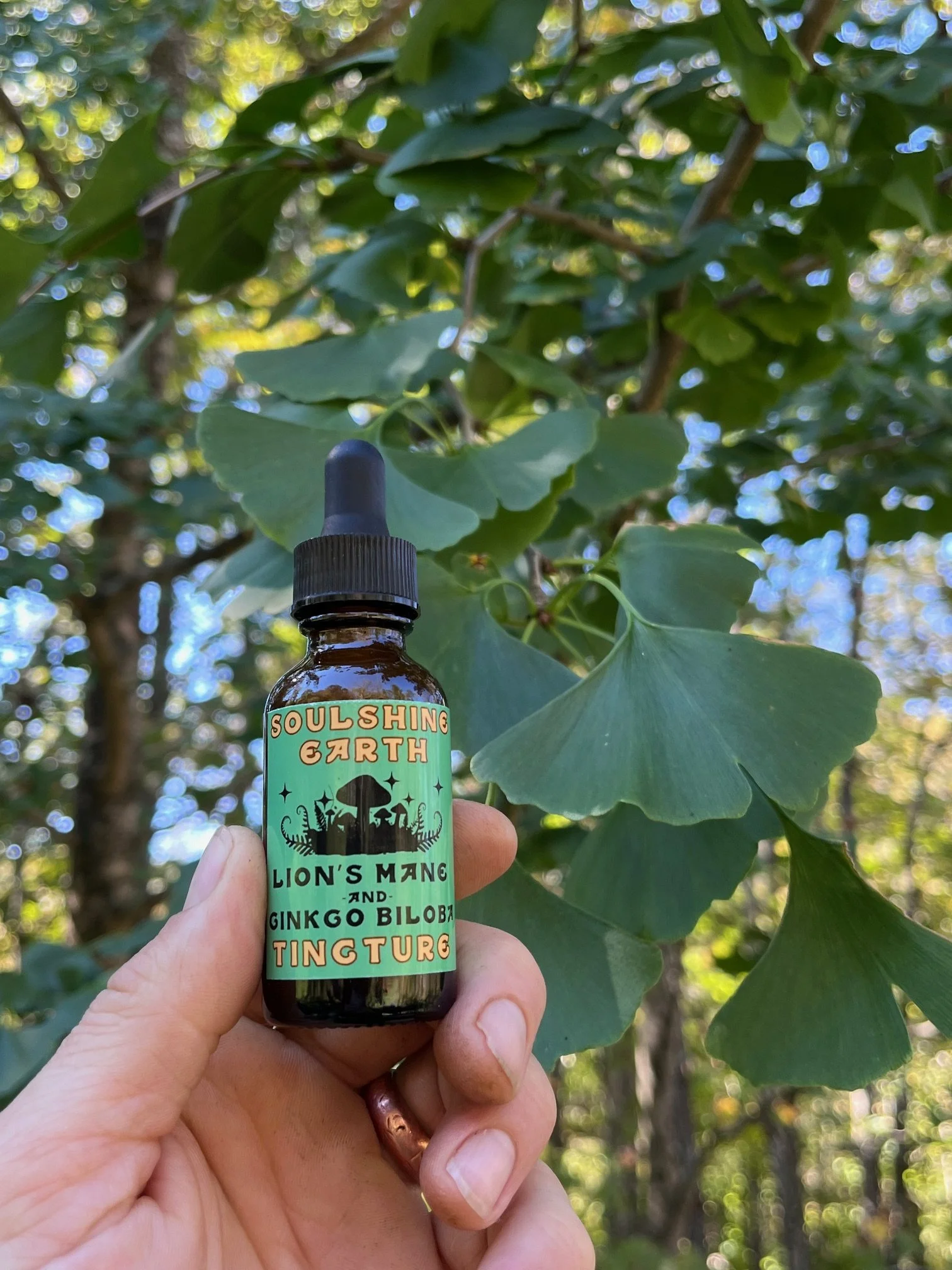 Lion's Mane and Ginkgo Biloba 1 oz Tincture