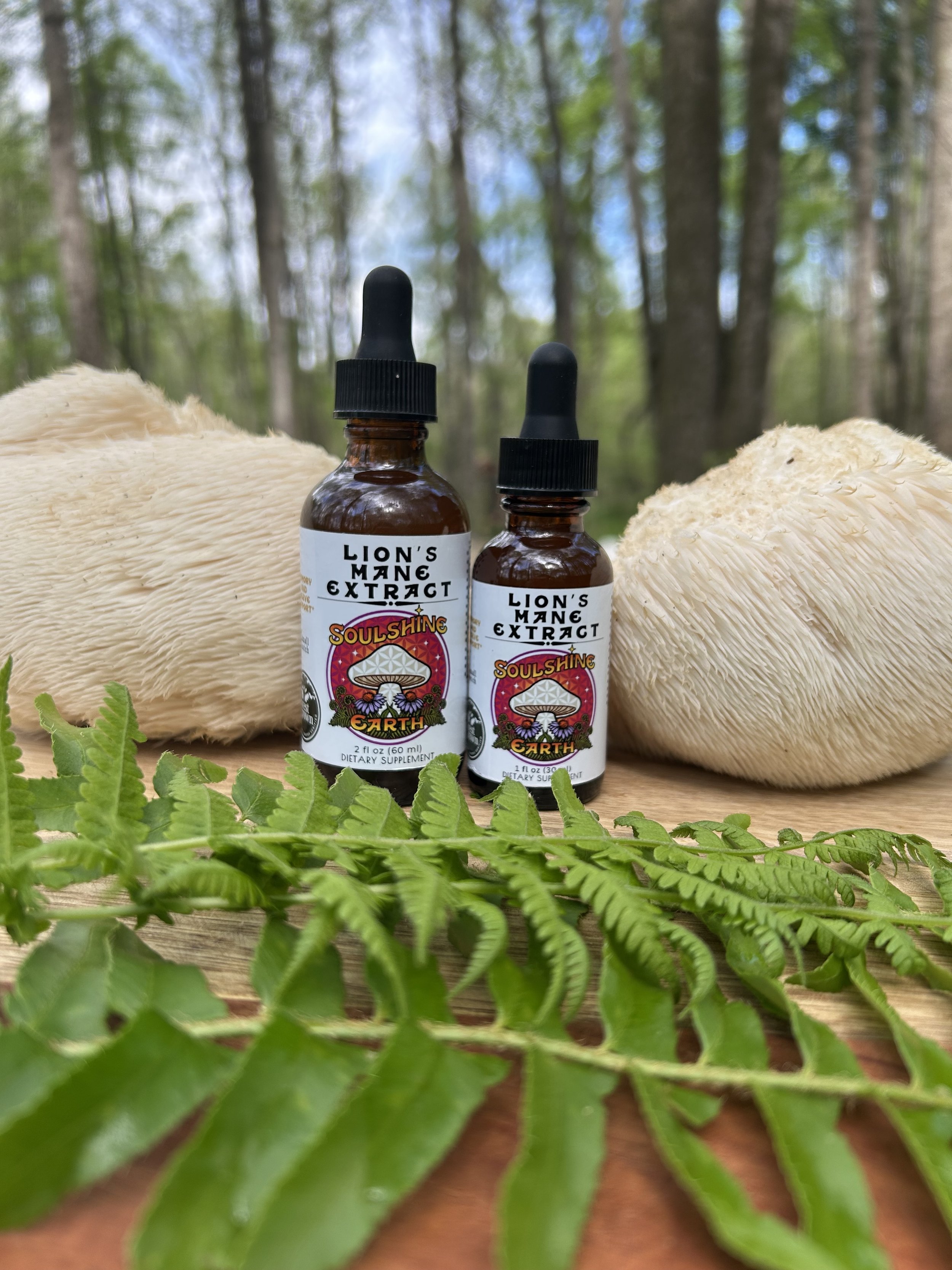 Lion's Mane Extract