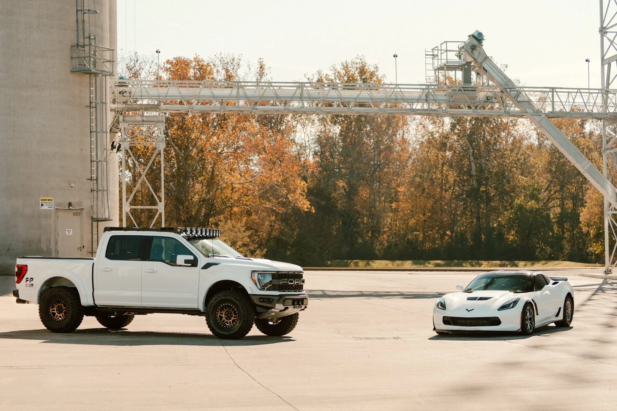 Raptor