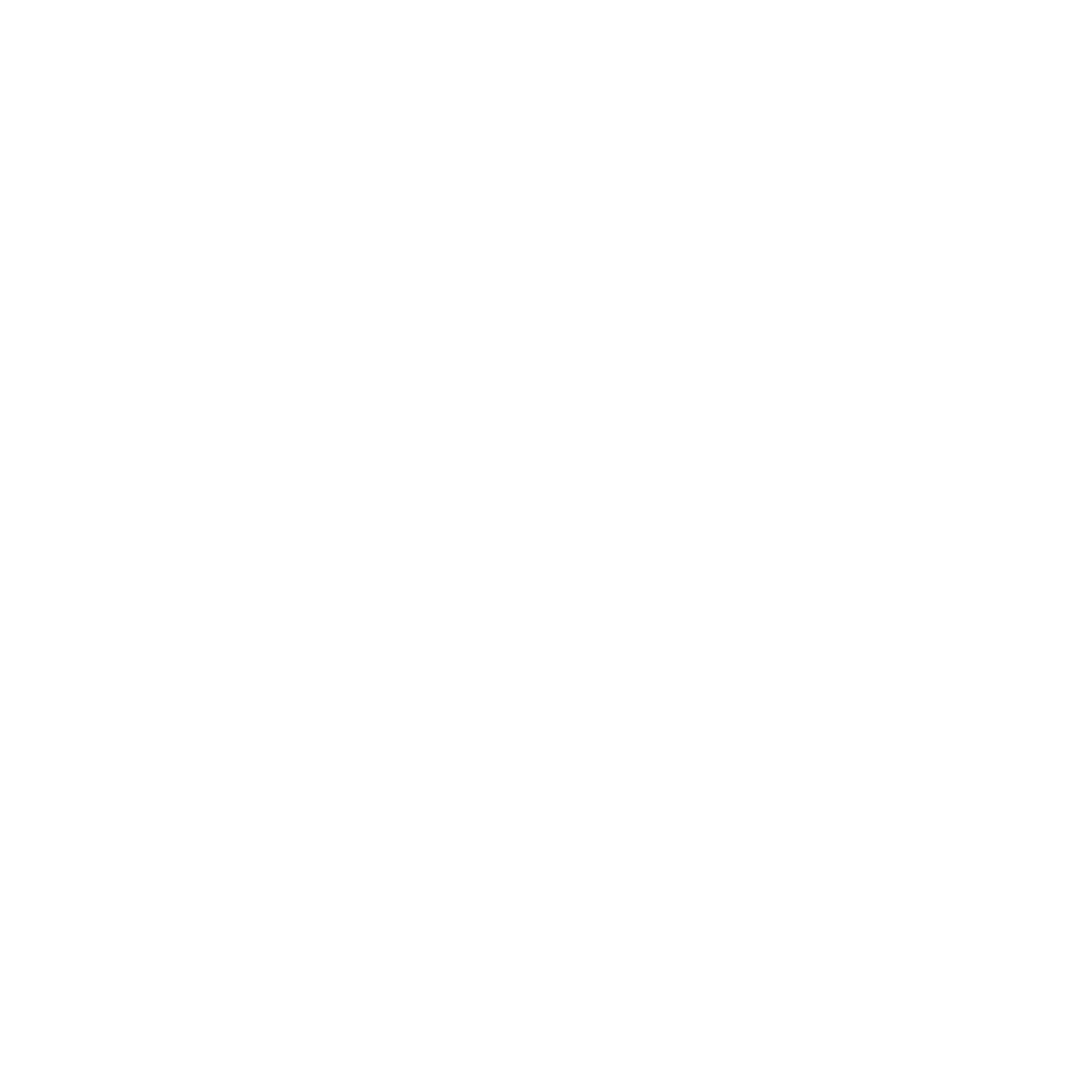 Logo of Life Time Fitness with white text