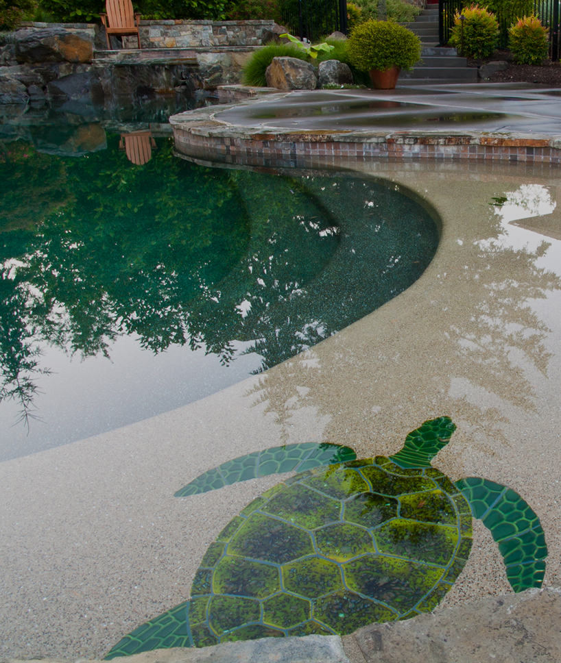 A swimming pool with a realistic turtle illustration on the floor, visible water reflections, surrounding rocks, plants, and stairs in the background.