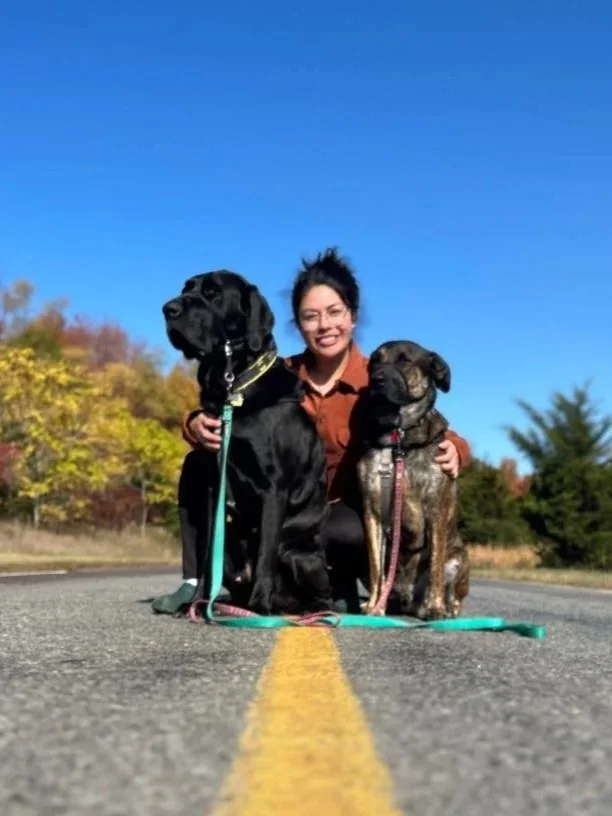 Woman kneeling on a road with two large dogs, one black and one brindle, against a backdrop of colorful trees and a clear blue sky.