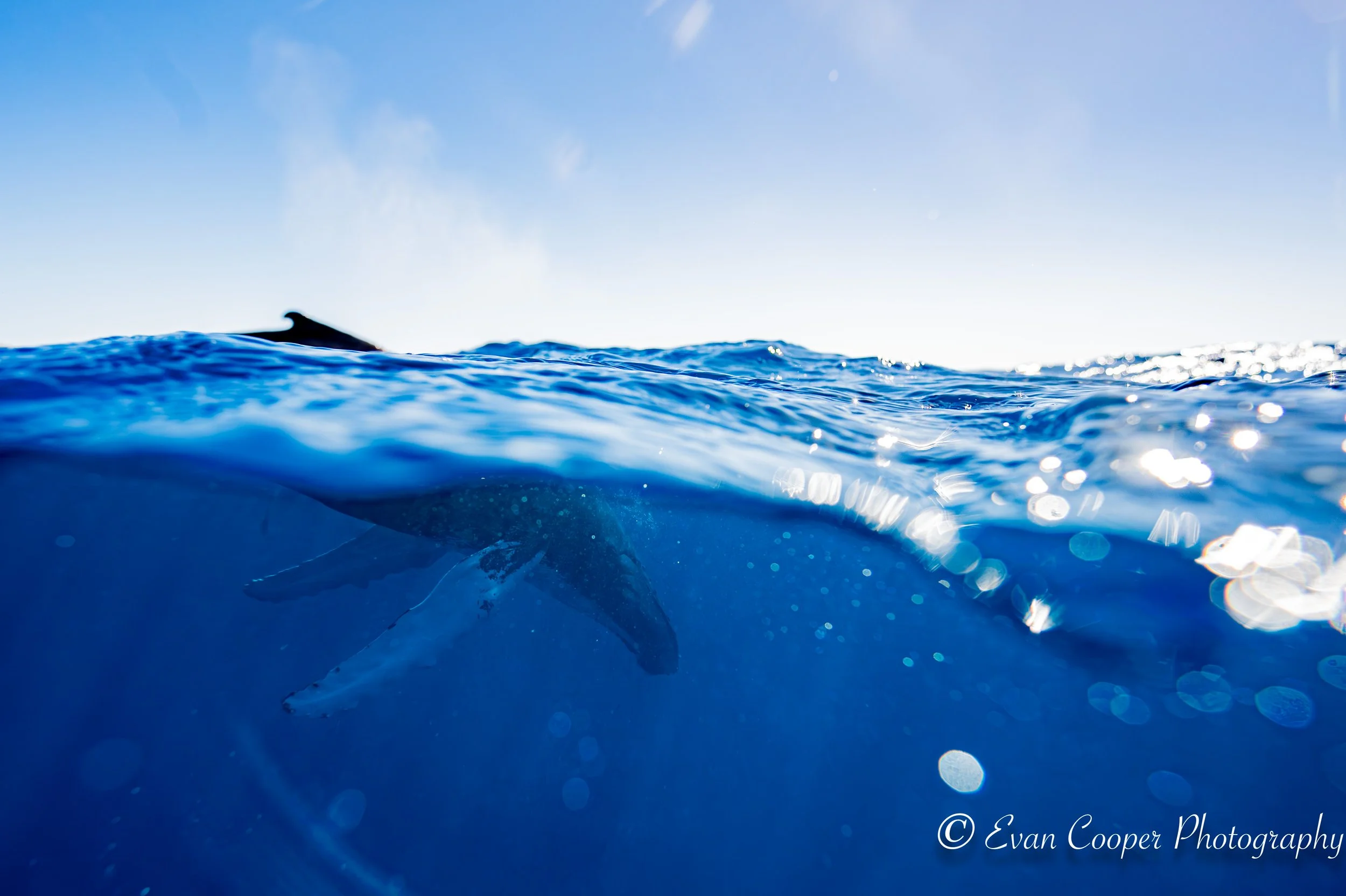 Half in Half Out Male Breathing.jpg