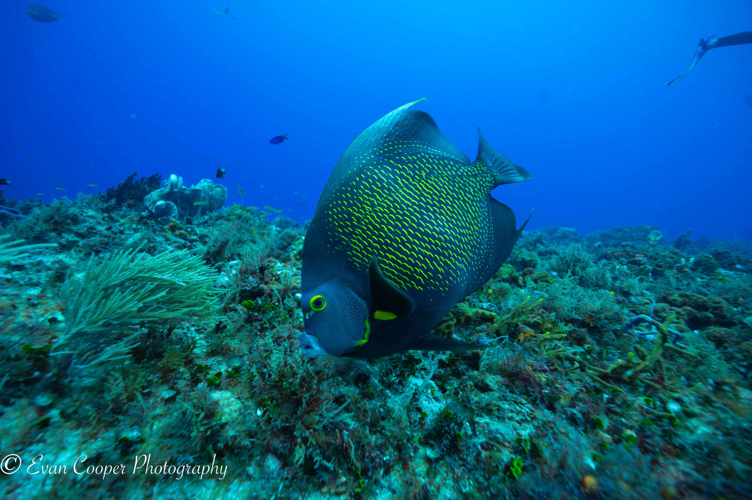 Cozumel Quick Edits-6.jpg