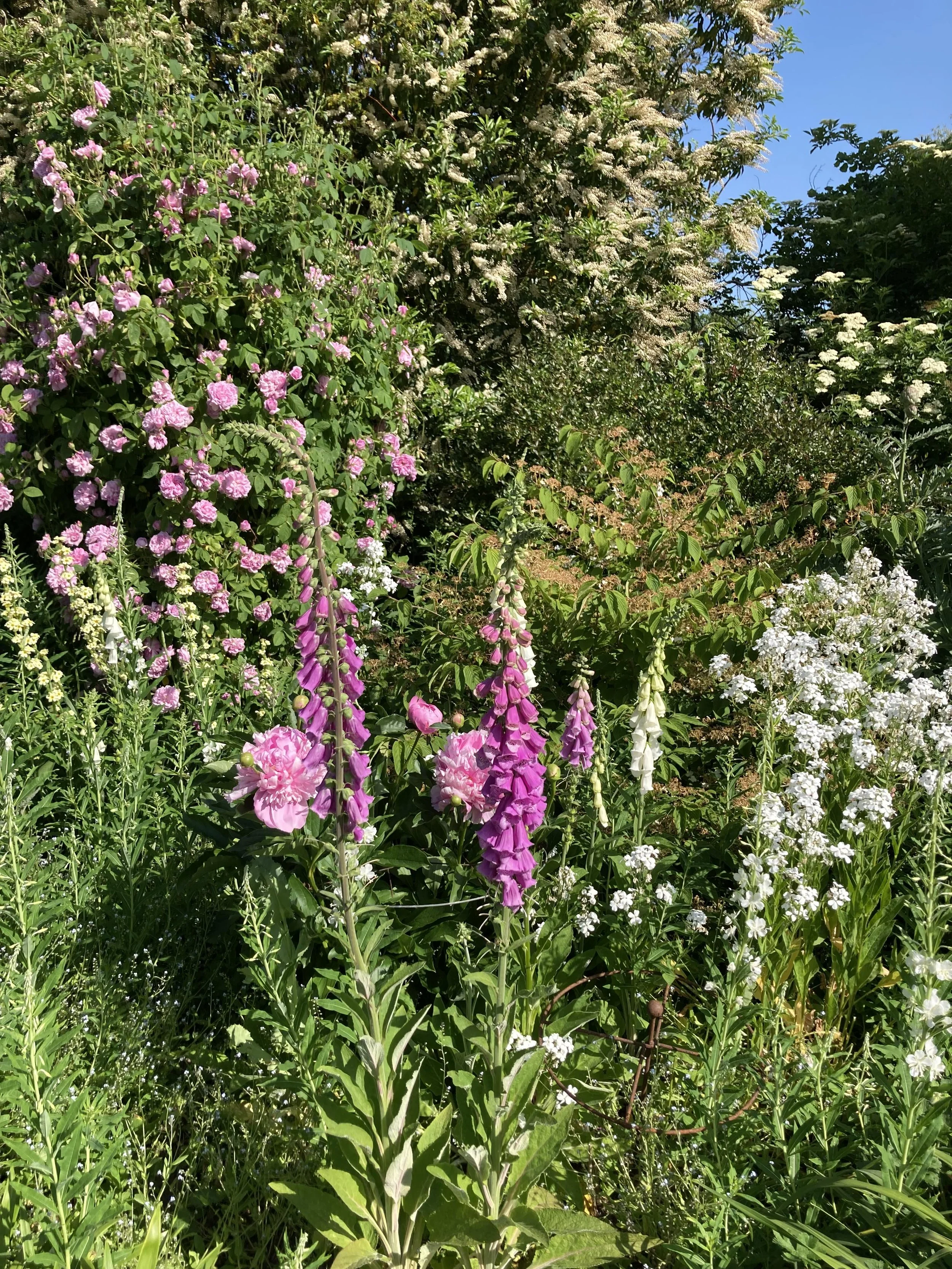 June