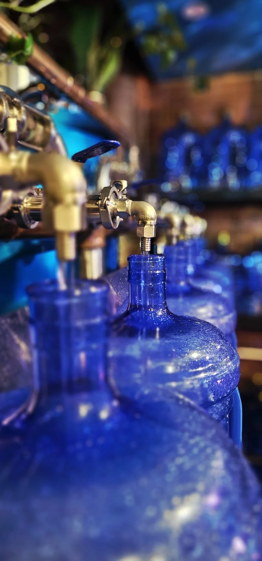 308d52c5-ec3f-4383-895e-4a617ddcc772 3.JPG