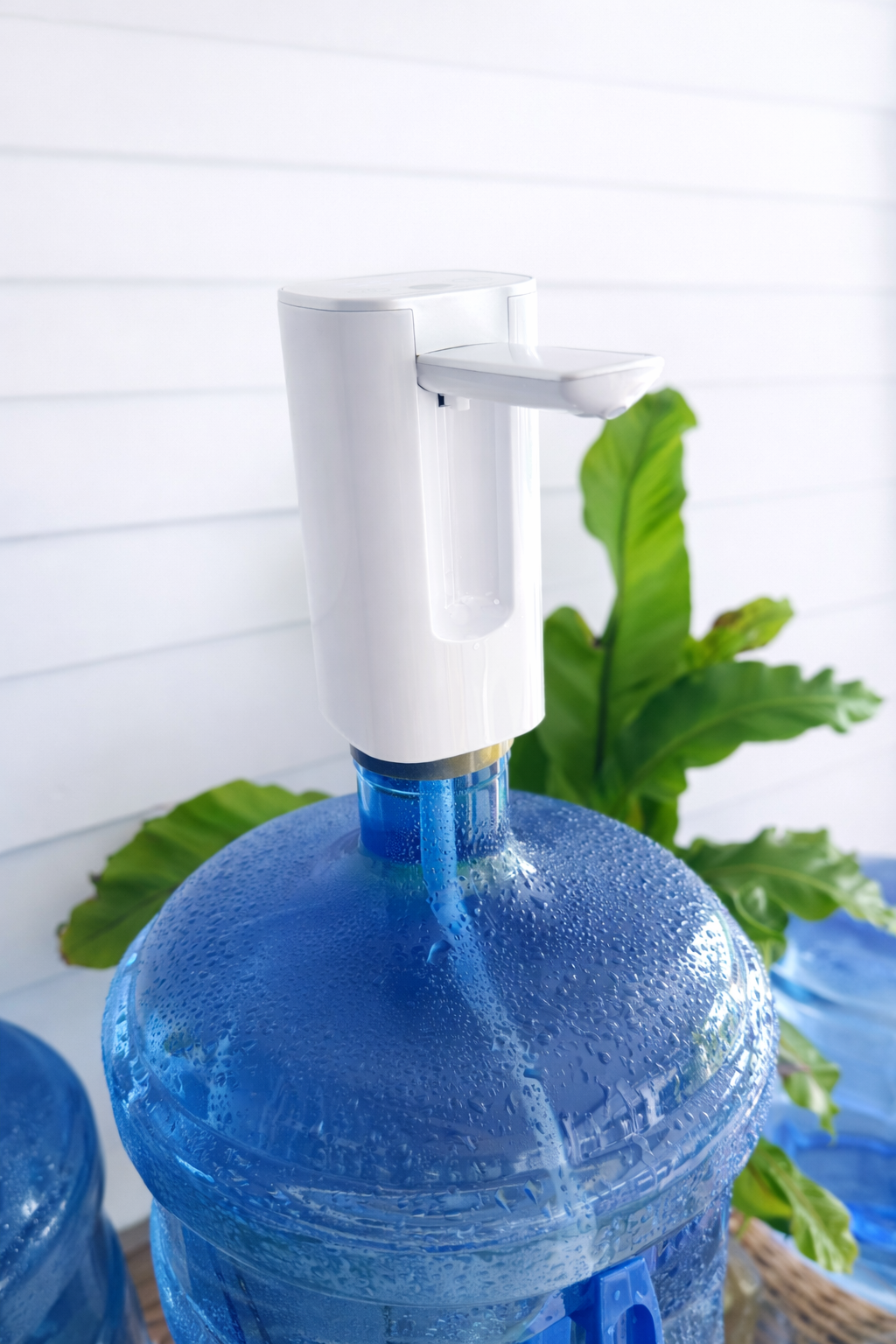 ChatGPT Image Feb 23, 2026, 05_42_01 PM.png