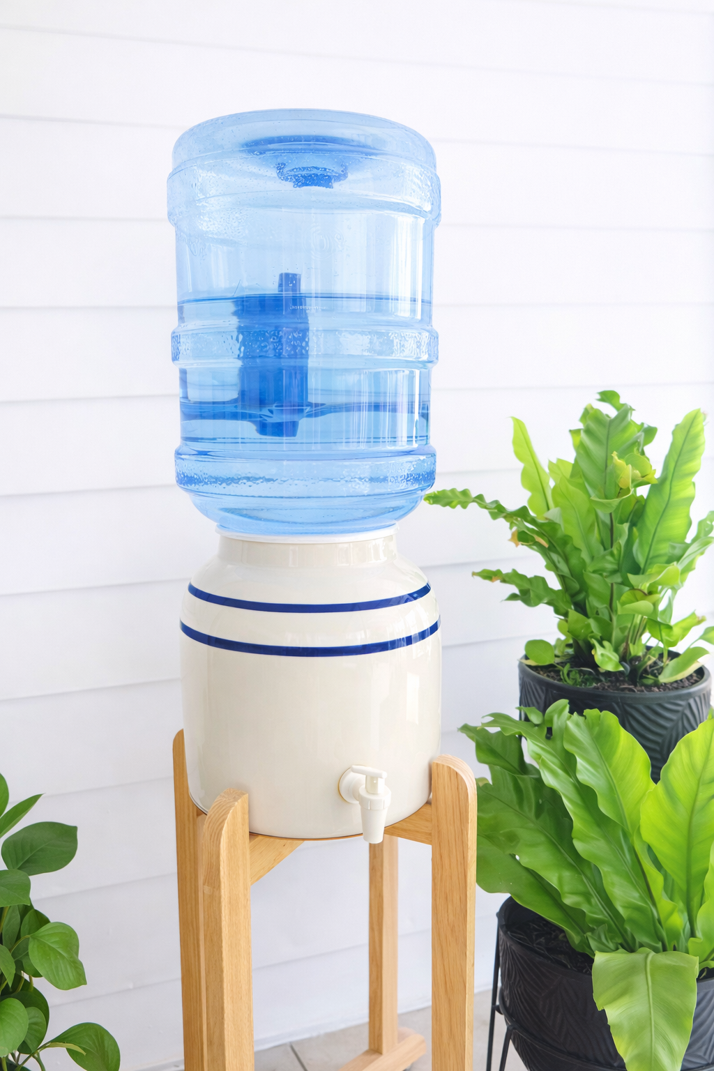 ChatGPT Image Feb 23, 2026, 06_01_08 PM.png