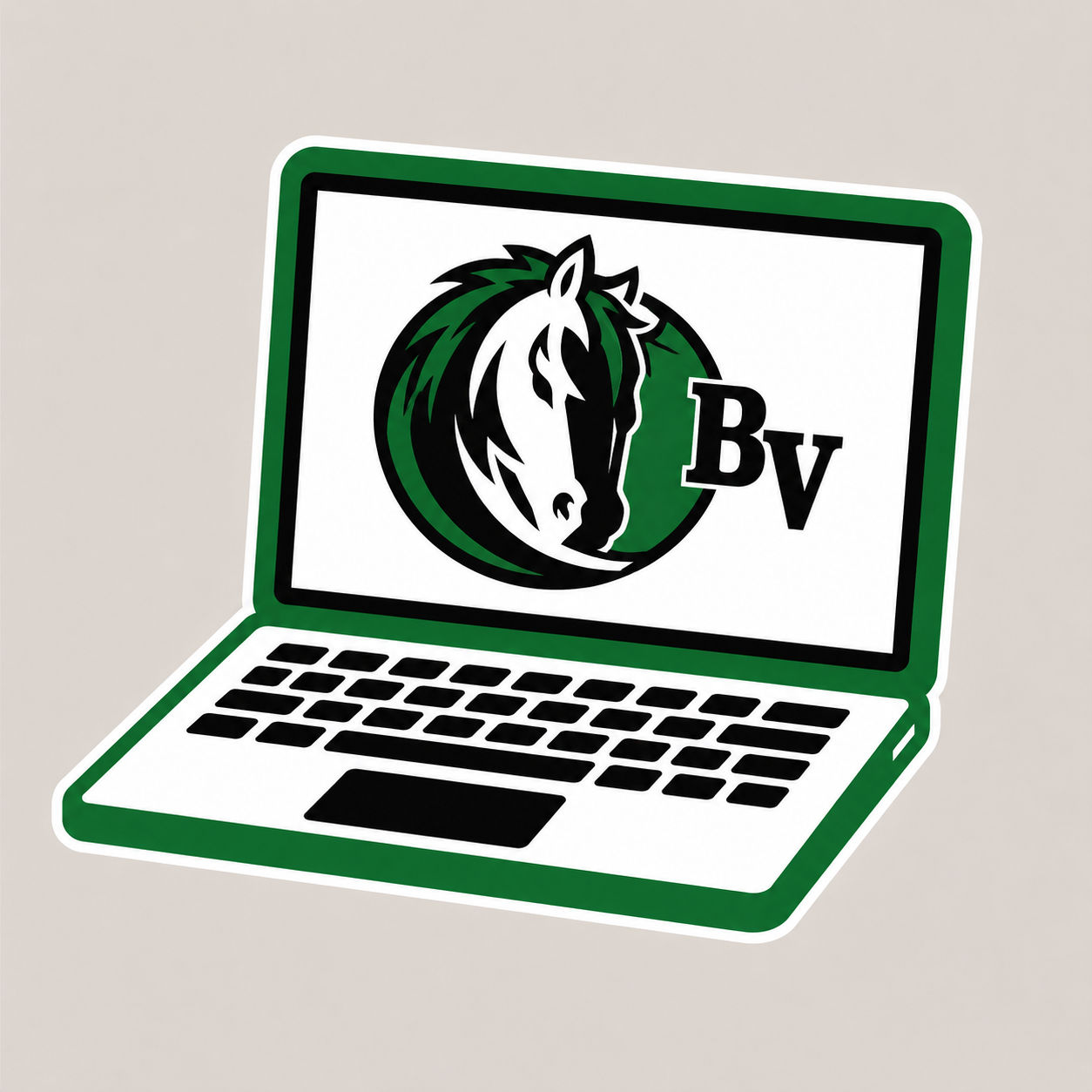 Chromebook Insurance Fee