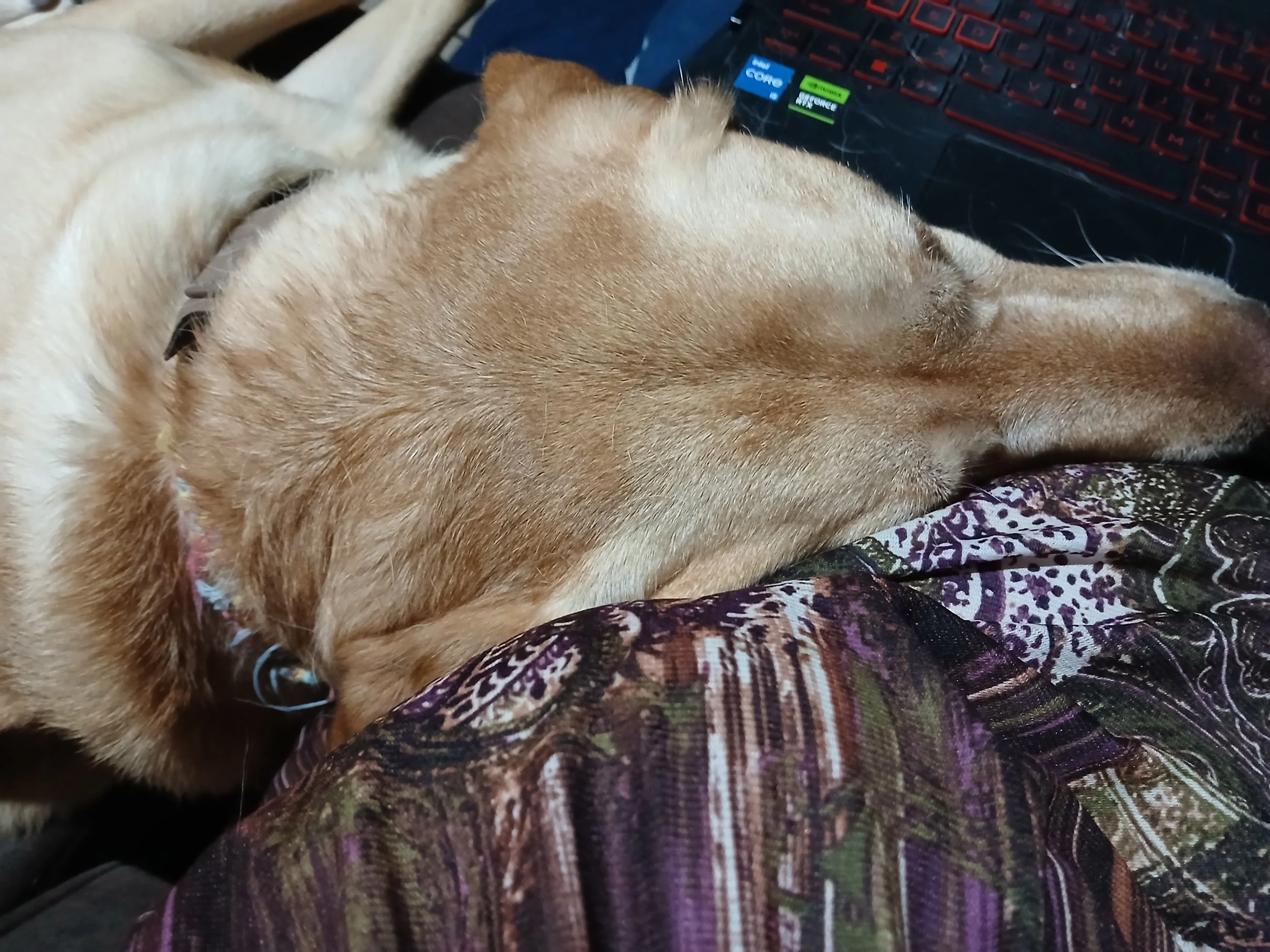 Author portrait placeholder for military science fiction author Shawn Blakeley