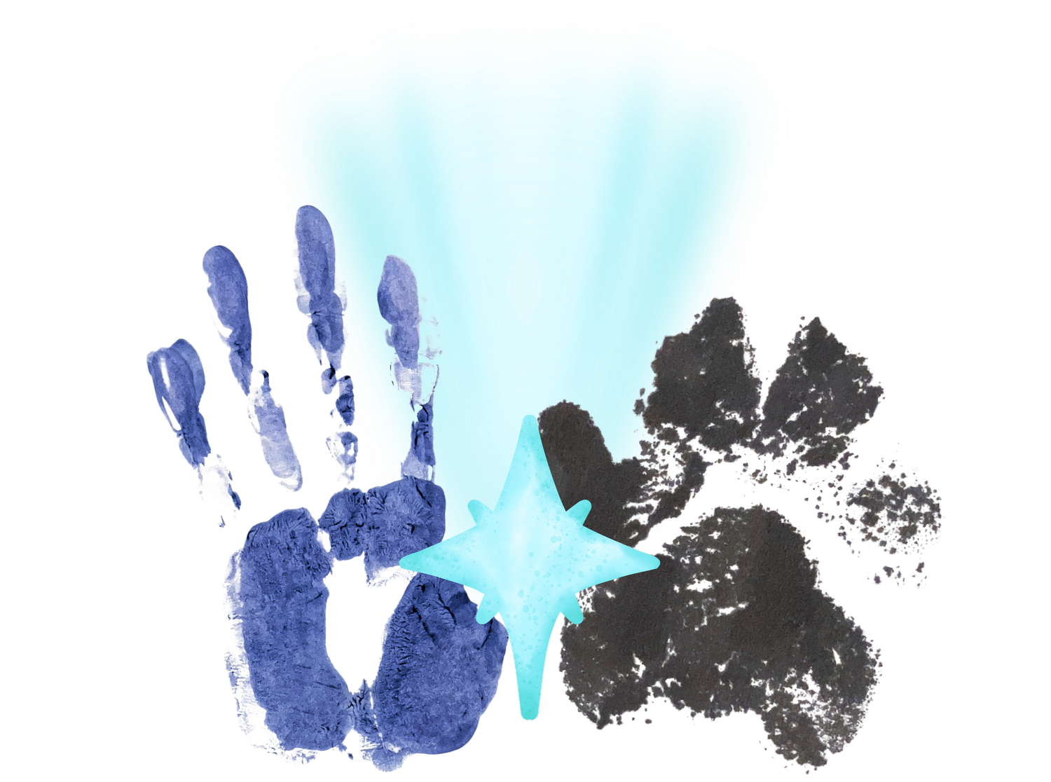 North Star Counseling, LLC