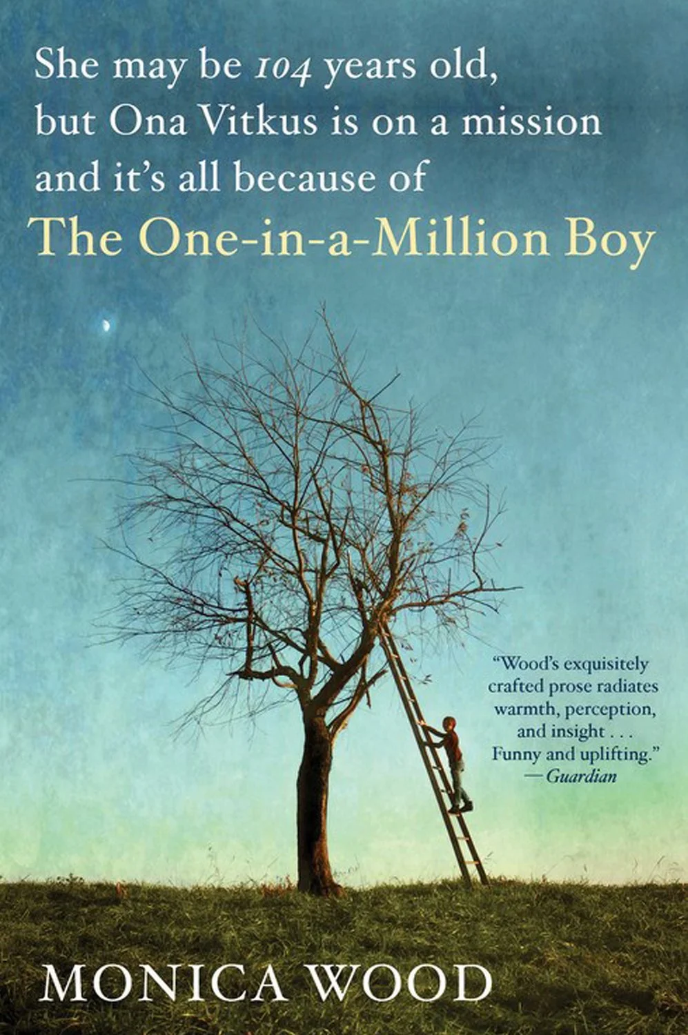 Book cover of "The One-in-a-Million Boy" by Monica Wood featuring a young boy climbing a ladder against a leafless tree, with a background of a greenish sky and a small moon.