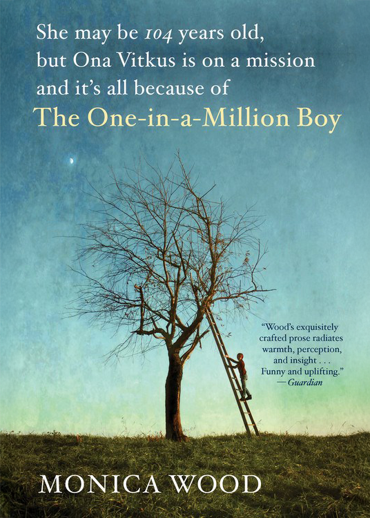 Book cover of 'The One-in-a-Million Boy' by Monica Wood, featuring a leafless tree on a grassy hill with a person climbing a ladder against the tree, set against a gradient blue sky background.