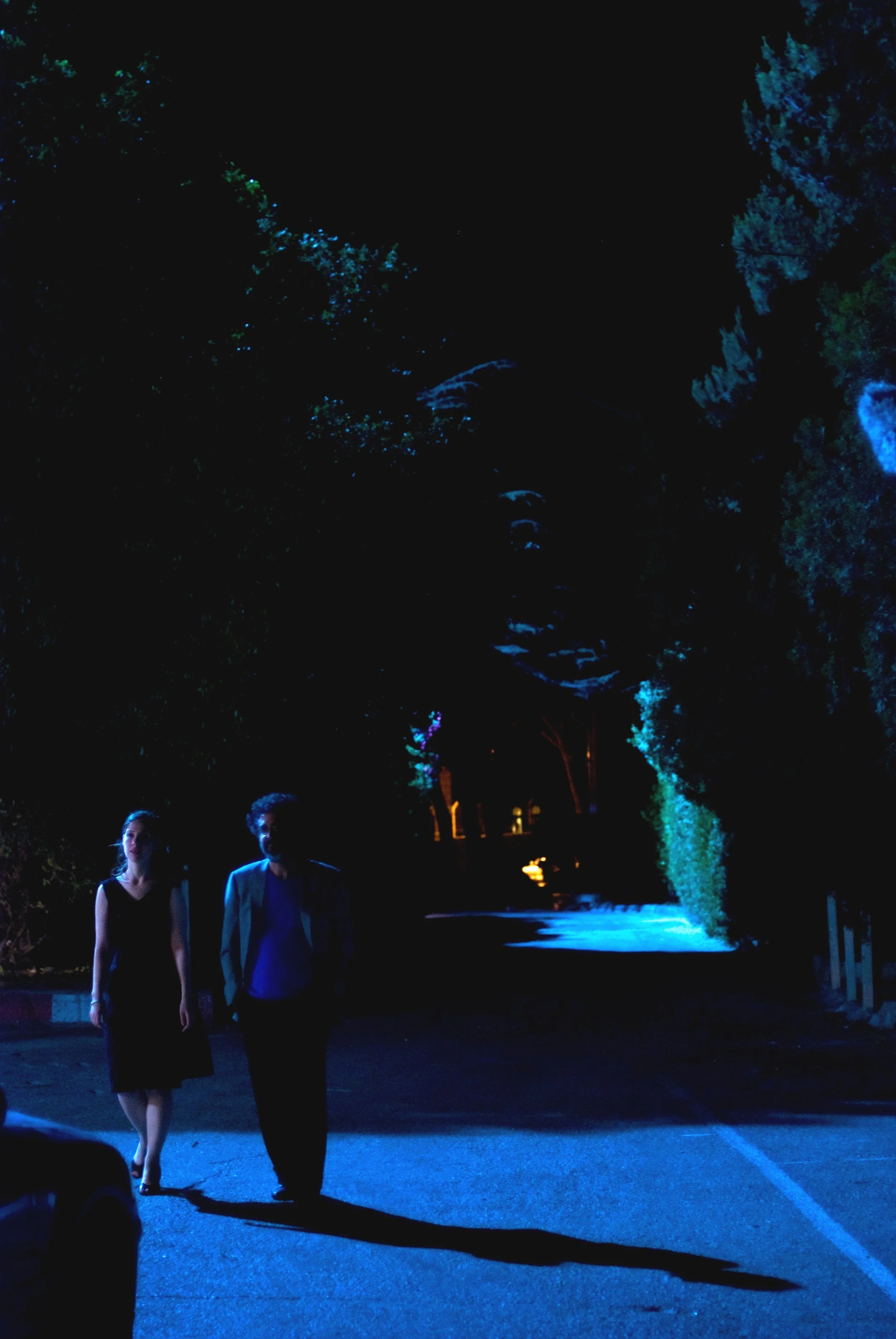 y&nnight.jpg