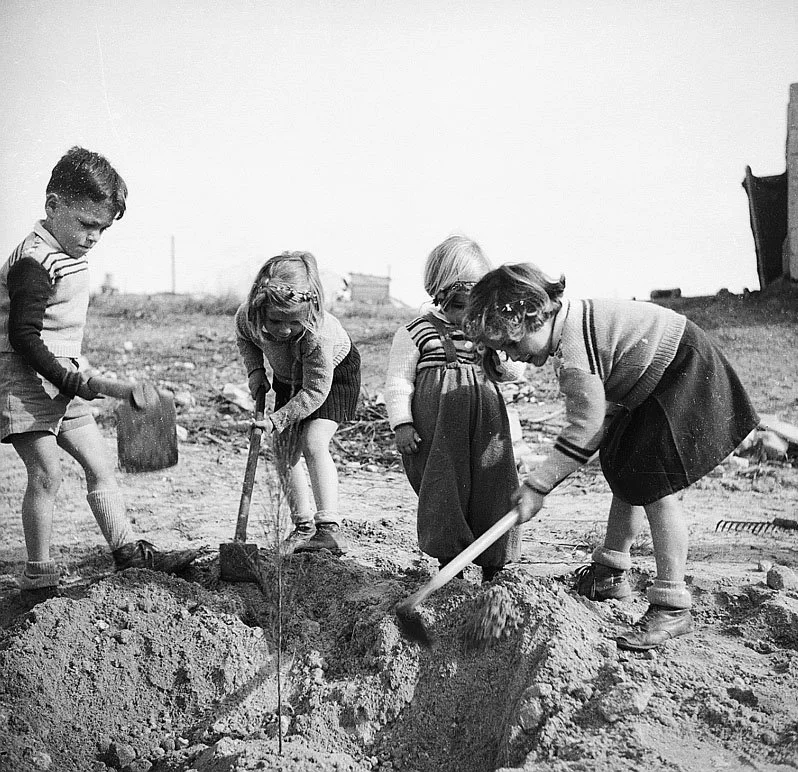 PVE1168 החופרים הצעירים.jpg