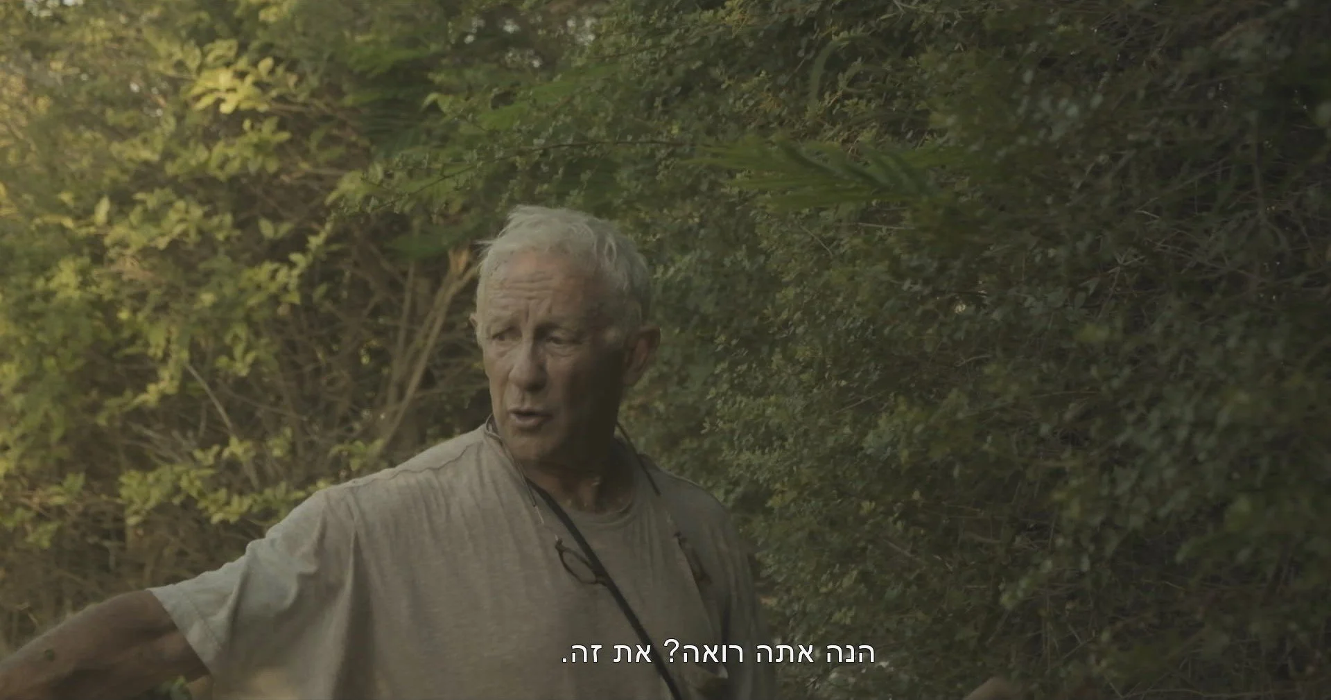 DAD IN GARDEN.jpg