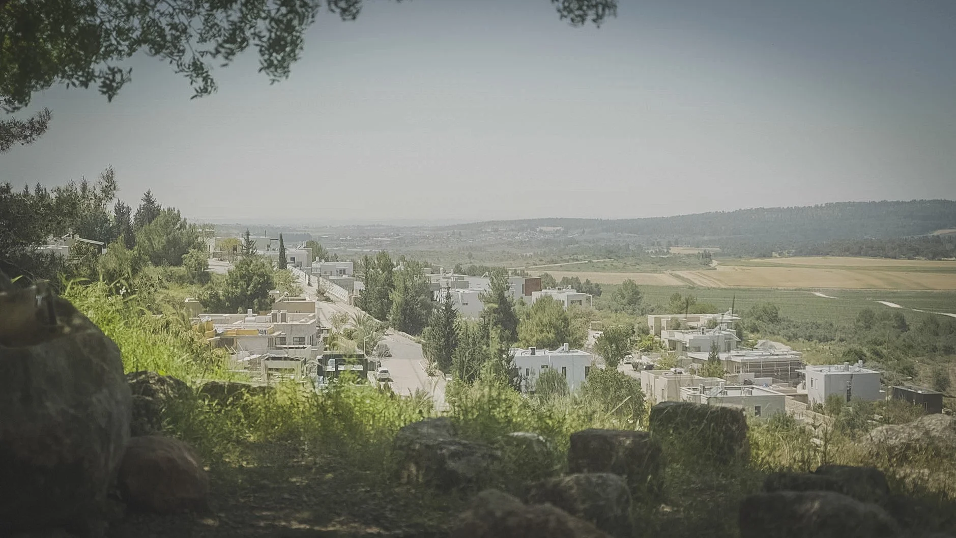 צילום מעיין שוורץ.jpg