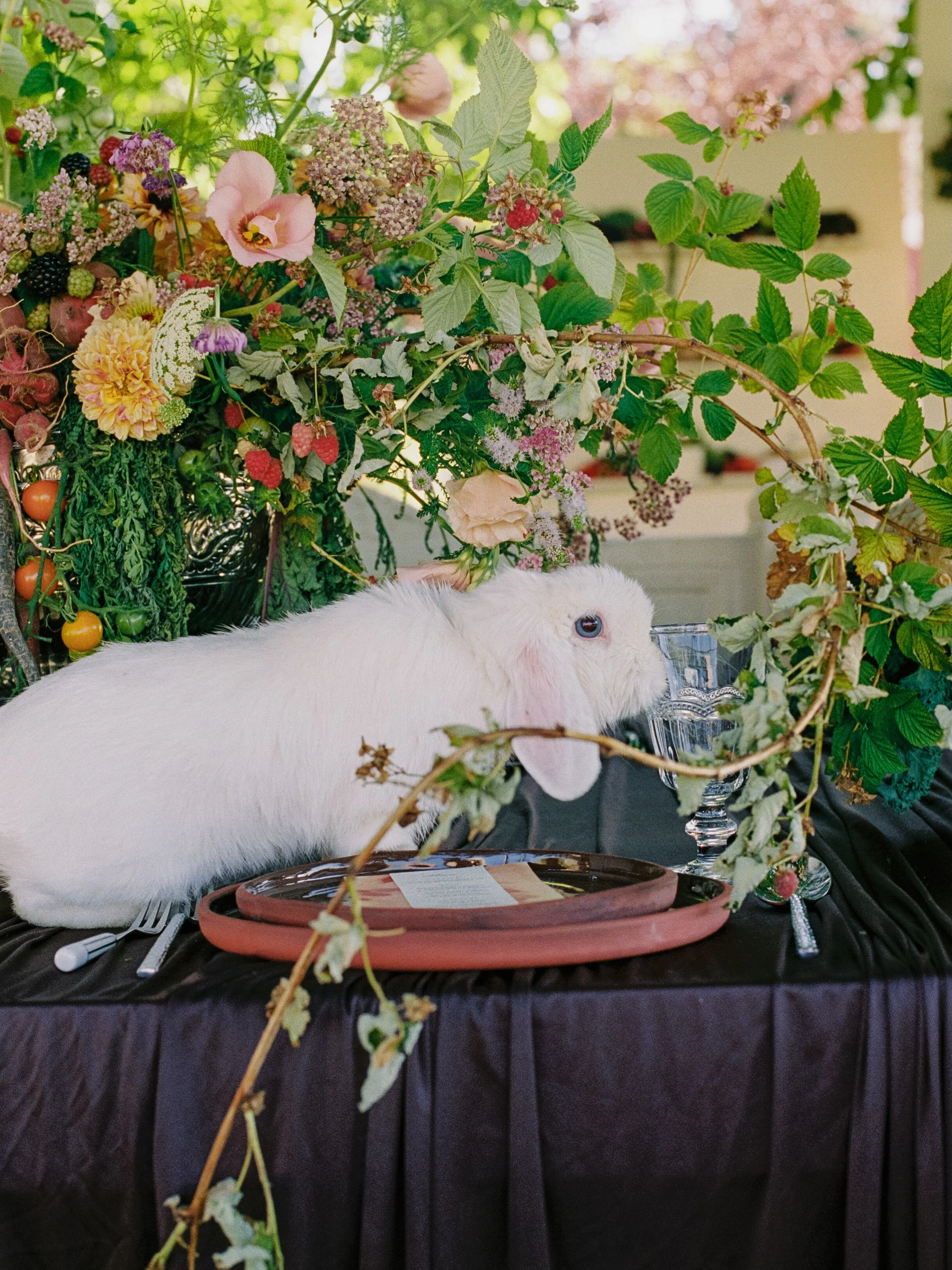 plus ones; approved 🐇🦆
35mm

Planning + Production: @saltedivoryy
Florist: @oliveandsagefloral
Creative Direction + Food Styling: @saltedivoryy + @oliveandsagefloral
Cake: @briarbakes_
Venue: @northogdenflowerfarm
Bride + Groom: @llukellarsen + @ap