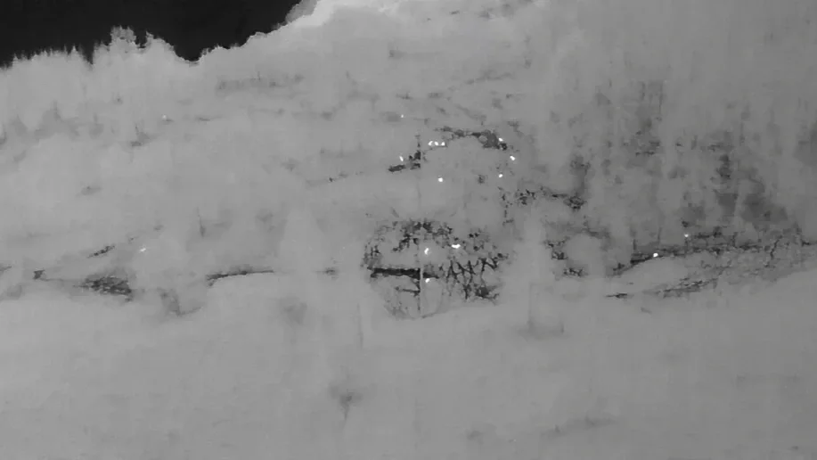 Thermal Survey of deer herd