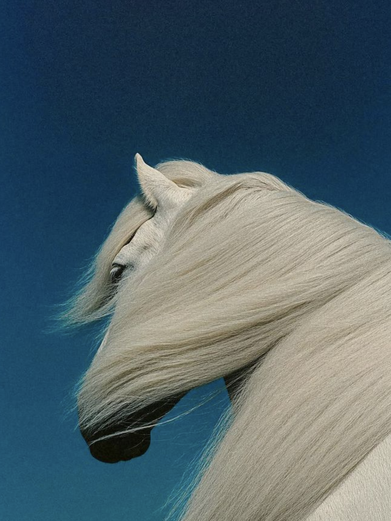 Screen Shot 2026-01-27 at 1.32.58 PM.png