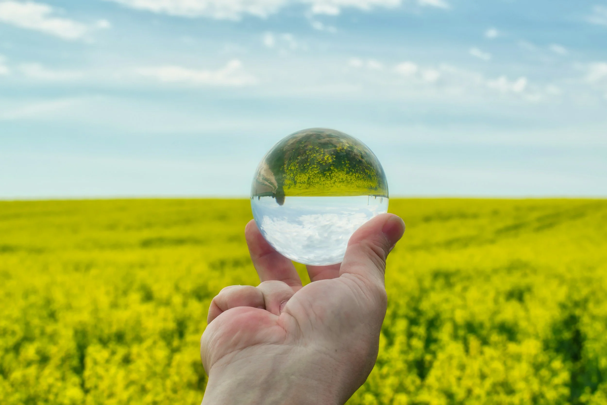 Hand holding a glass sphere in front of a sunny yellow field and blue sky with scattered clouds.