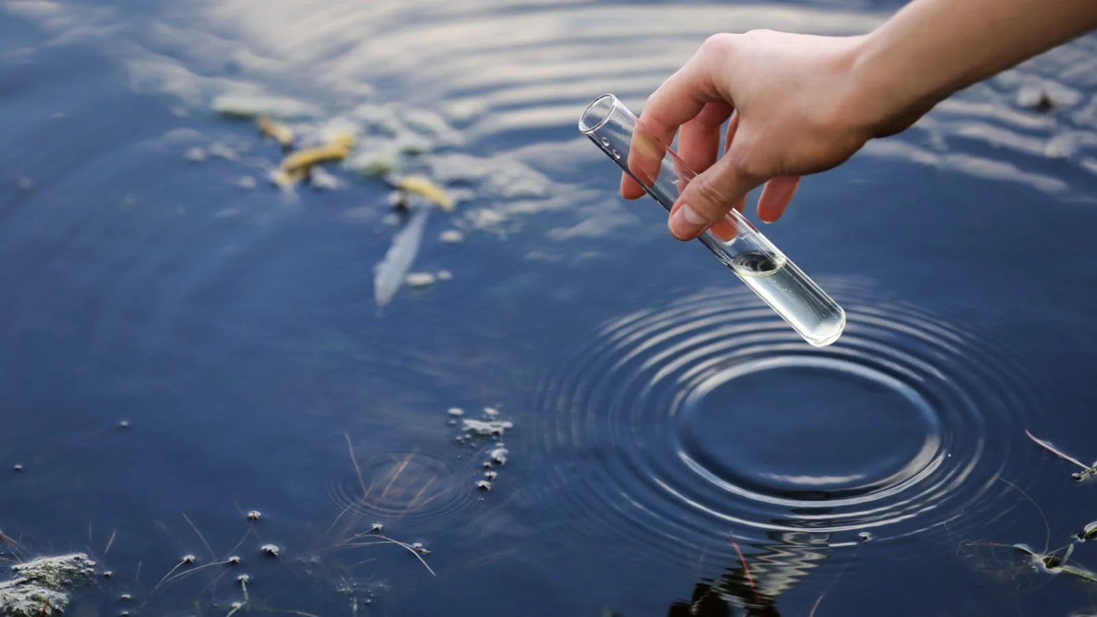 A hand holding a test tube with water over a body of water, creating ripples, with floating debris nearby.