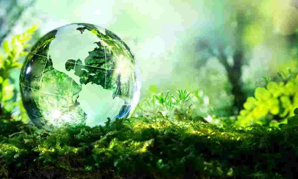 A glass globe shows North and South America, resting on green moss with a blurry forest background, symbolizing environmental conservation.