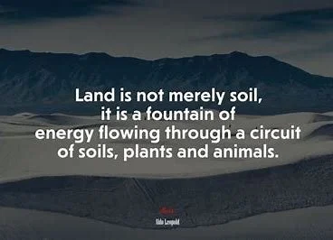 A quote about land and ecosystems over a landscape background of mountains and a cloudy sky.