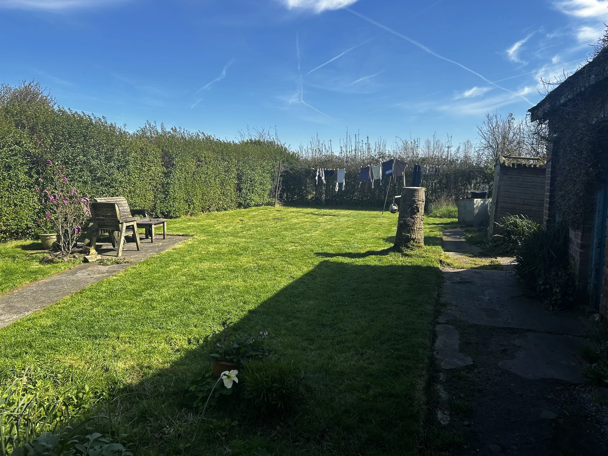 A sunny backyard scene with a green lawn, a wooden bench, a potted plant, a clothesline with laundry hanging, a well-tended garden bed, and a shed, under a clear blue sky with some wispy clouds.